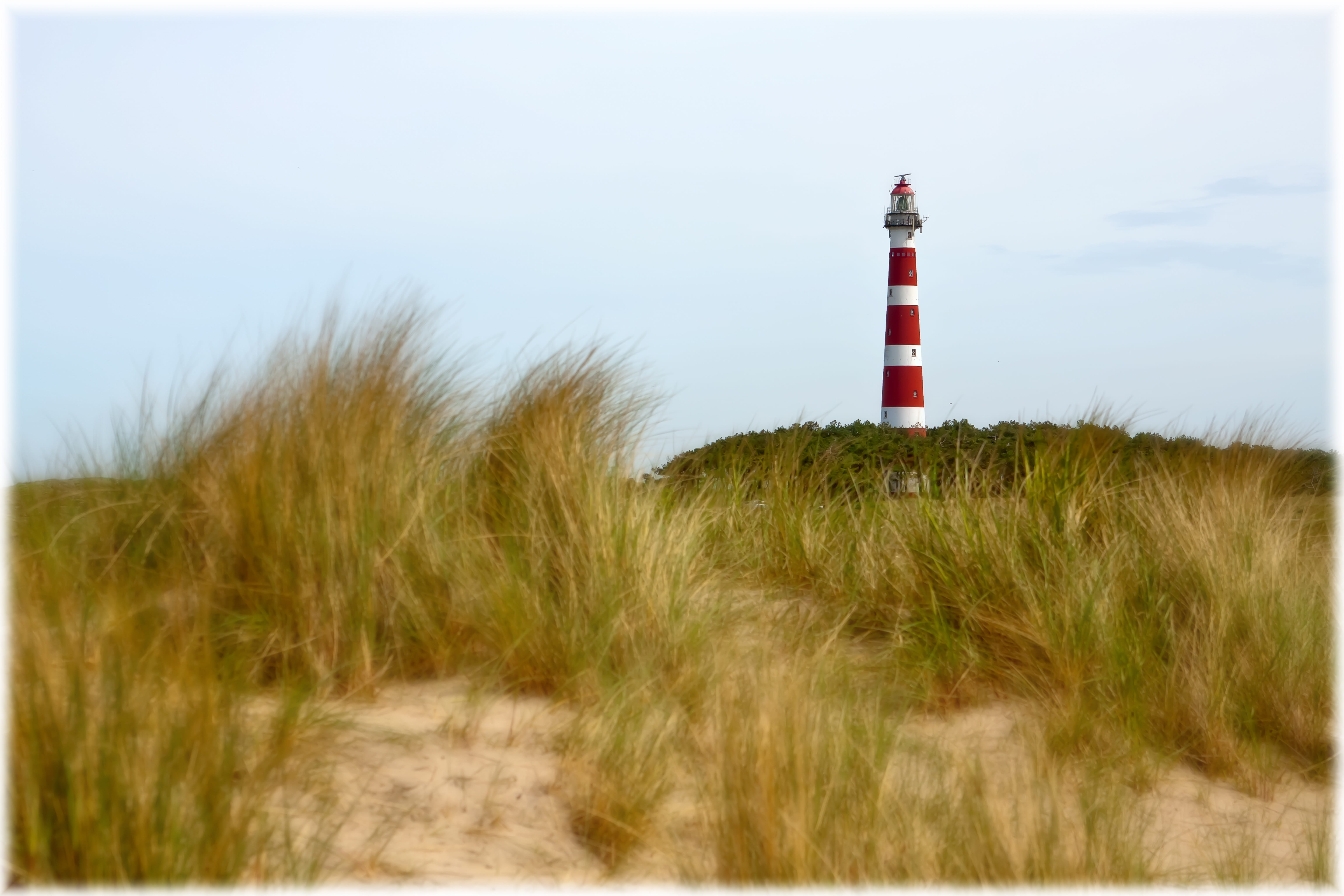 holiday, built structure, sea, holland, sky, ameland, water, plant, 5K, nature, outdoors, white, tower, beach, light, direction, lighthouse, protection, HD Wallpaper