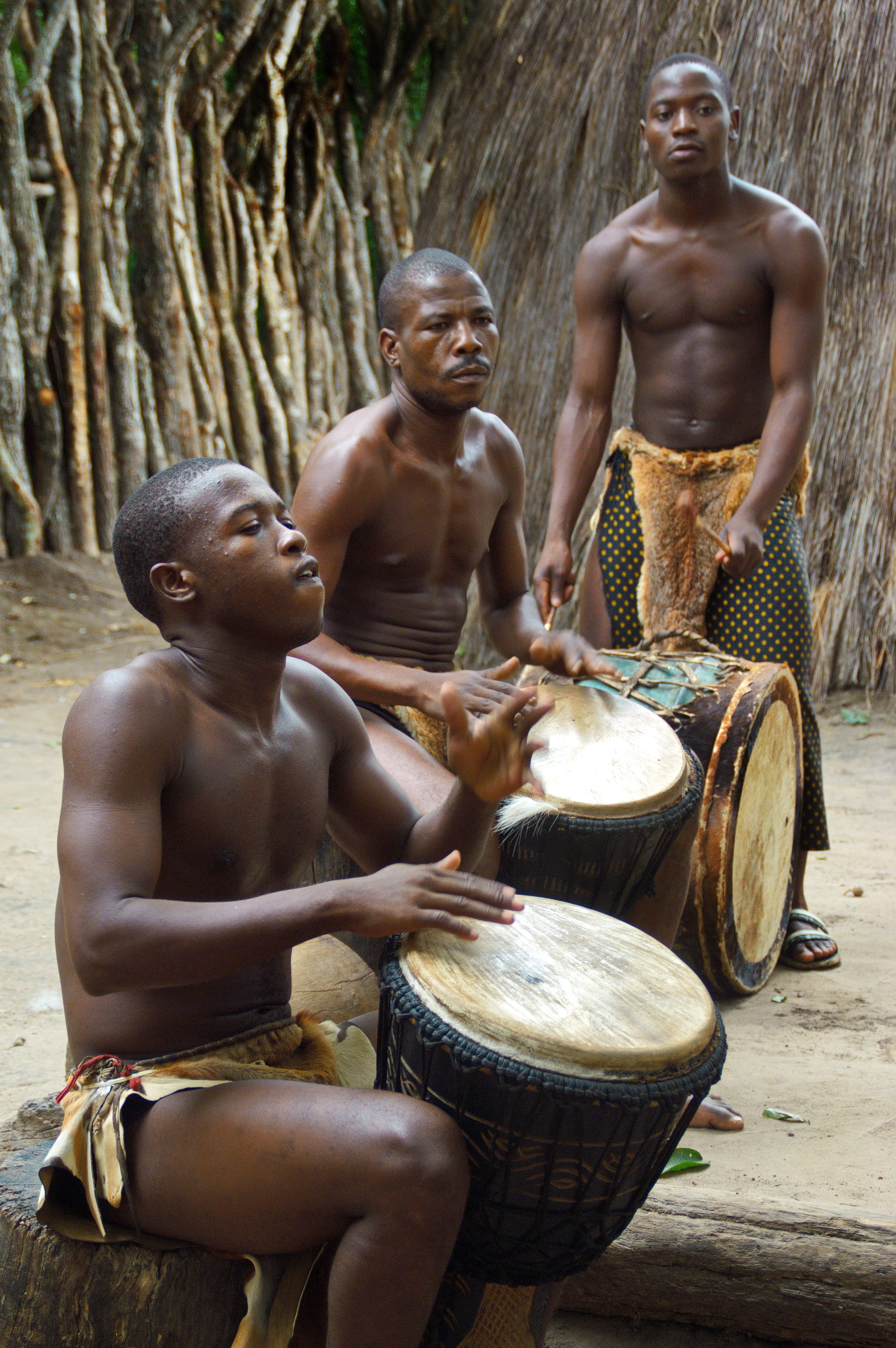 zulu, statue, 2K, musical instrument, real people, drums, drum, music, group of people, day, ethnic, men, males, south africa, drum - percussion instrument, Phone HD Wallpaper