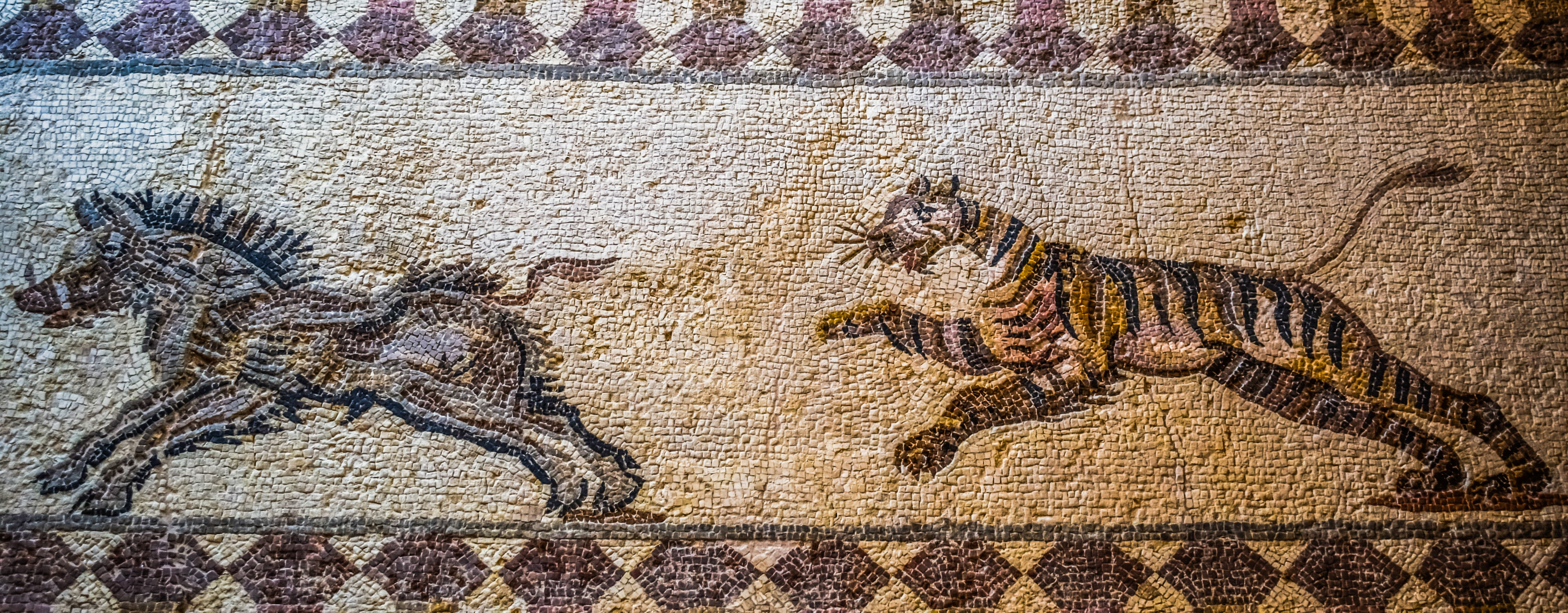 cyprus, marine, ancient, mosaic, archaeological park, paphos, reptile, history, animal wildlife, animal representation, tiger hunting boar, animal, remains, HD Wallpaper