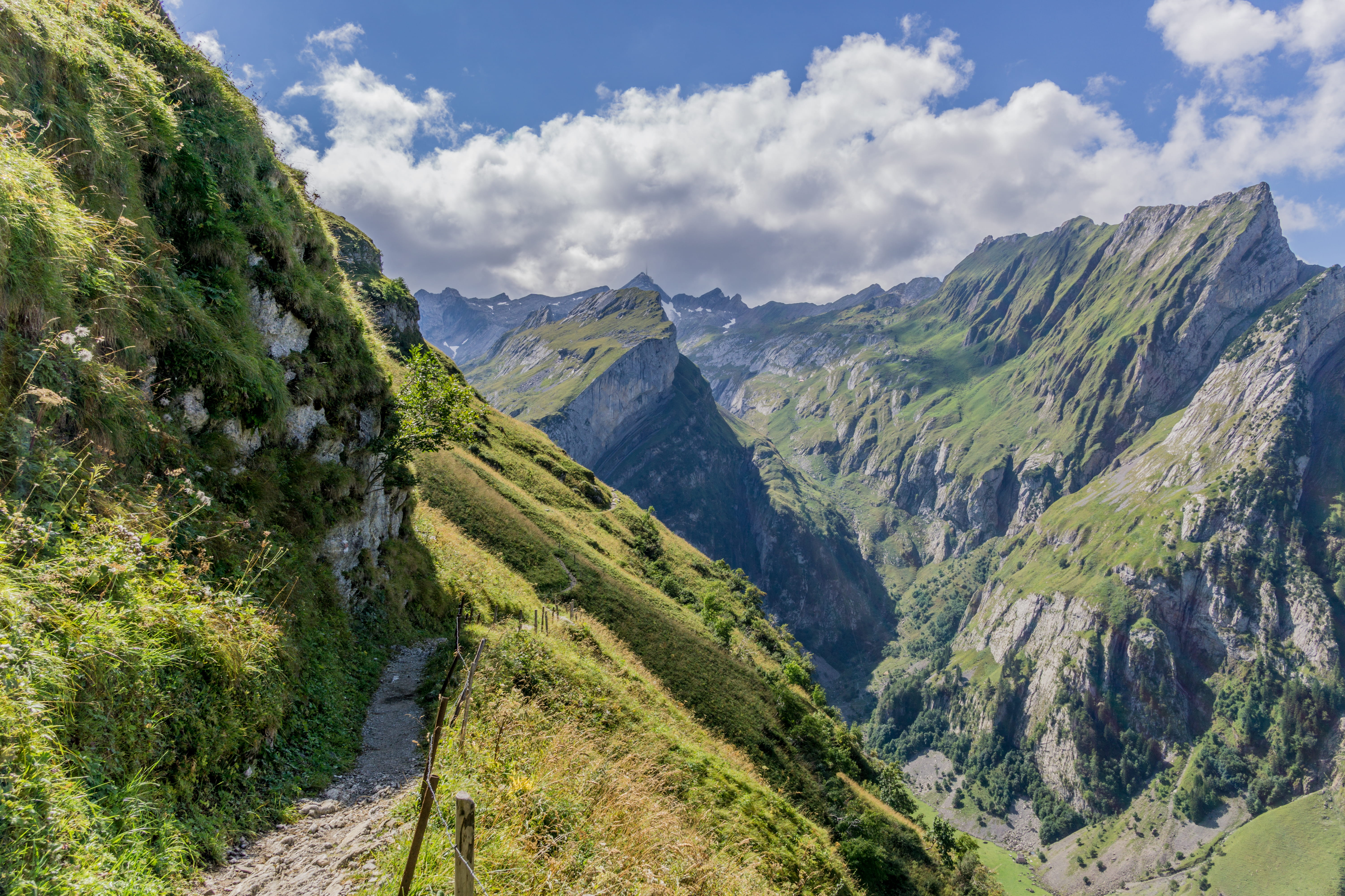 mountain, day, cloud - sky, plant, tree, appenzell, scenics - nature, environment, switzerland, beauty in nature, idyllic, mountains, hiking, formation, HD Wallpaper