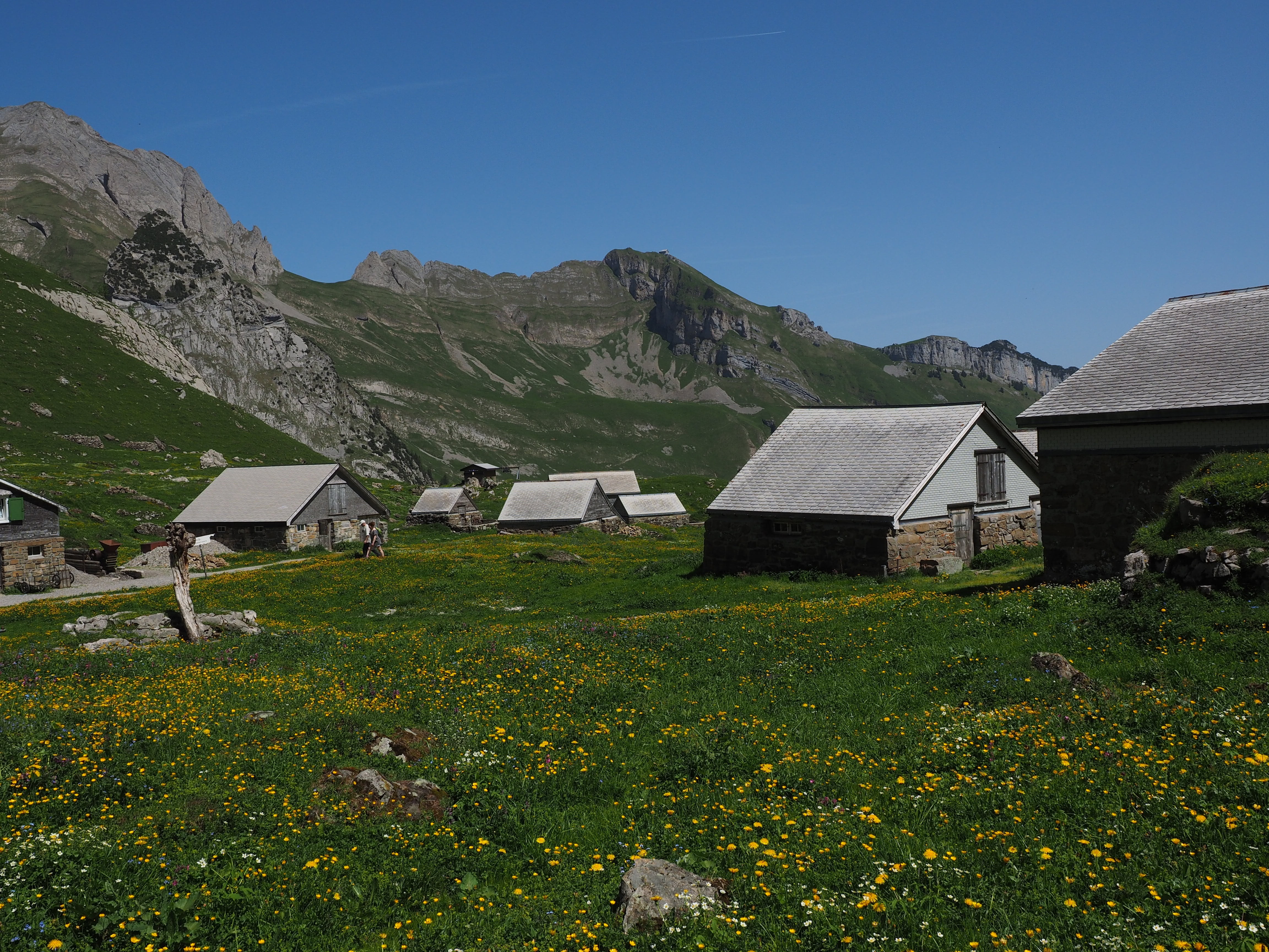 säntis region, mountain, building, alpe, alpstein region, european Alps, day, destination, cottage, rural Scene, meglisalp, beauty in nature, scenics - nature, HD Wallpaper