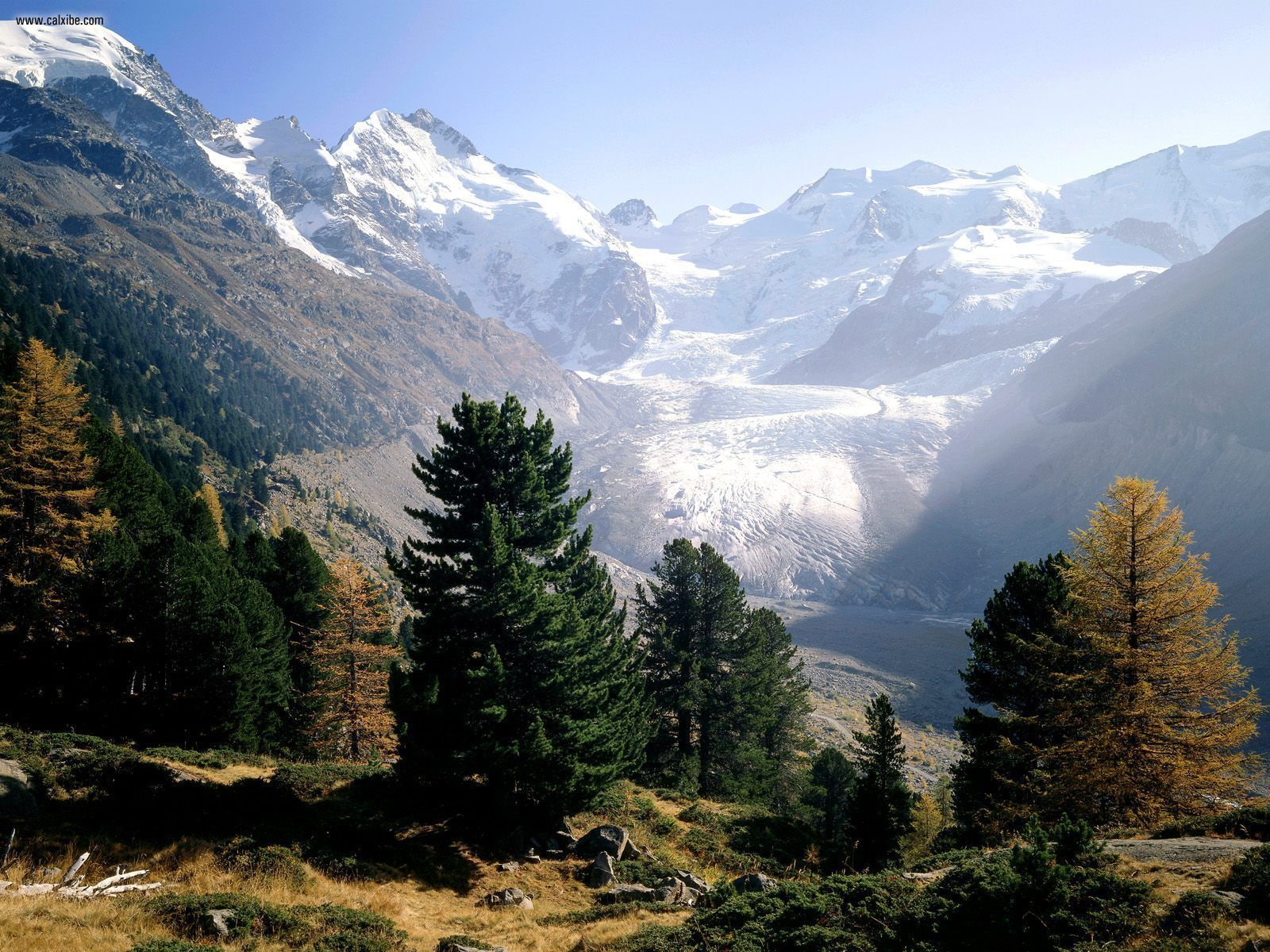 cliffs, photography, landscape, mist, mountain, high mountain, stone, switzerland, trees, high, nature, mountains, 720P, HD Wallpaper