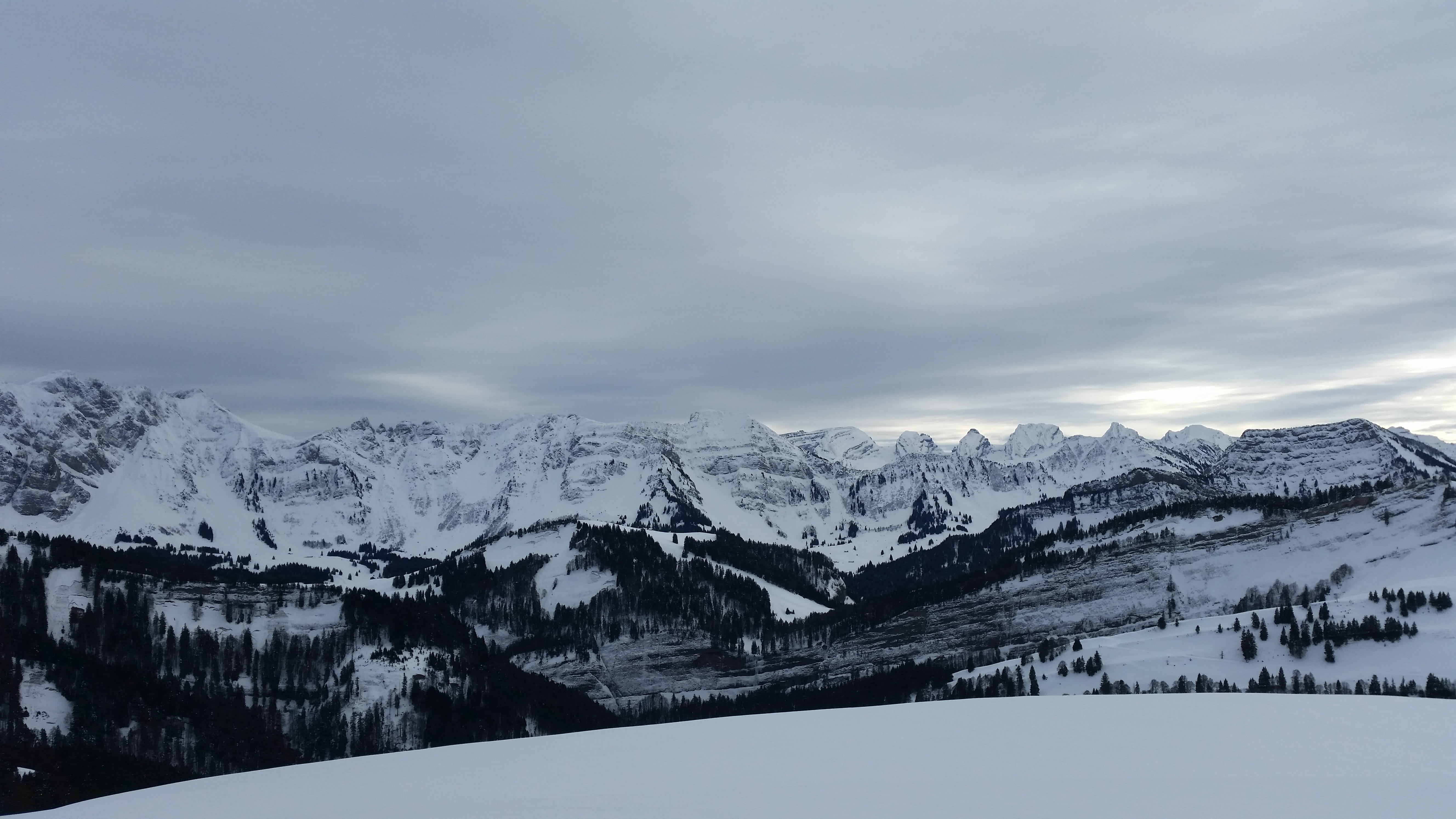 5K, white, nature, Snow, beauty in nature, wintry, pine tree, high mountains, alpine, mountain Range, no People, landscape, outdoors, cold temperature, HD Wallpaper