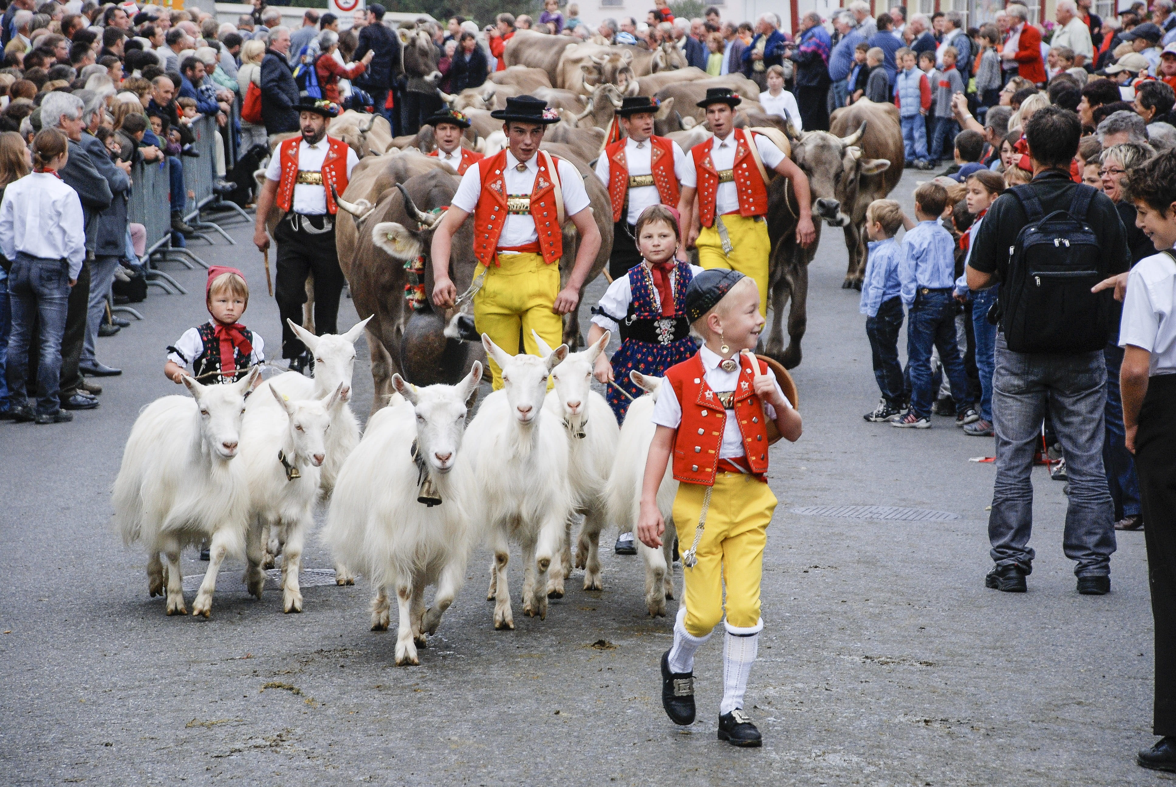 leisure activity, festival, large group of people, Appenzell, livestock, group of people, pets, arts culture and entertainment, women, spectator, outdoors, HD Wallpaper