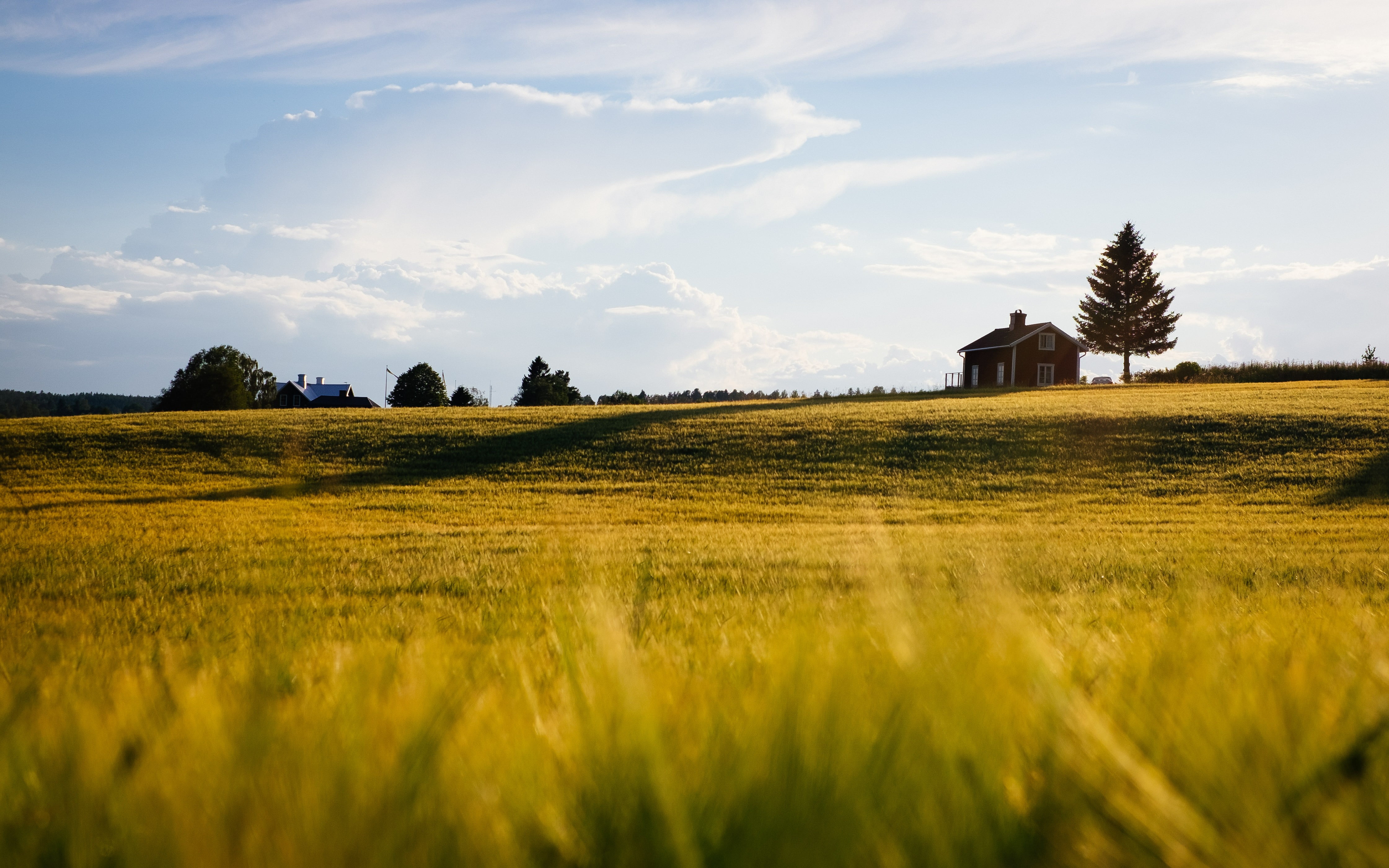 land, white, day, 4K, tranquility, hut, growth, cloud - sky, landscape, hills, farm, no people, brown, scenics - nature, agriculture, field, plant, tree, HD Wallpaper