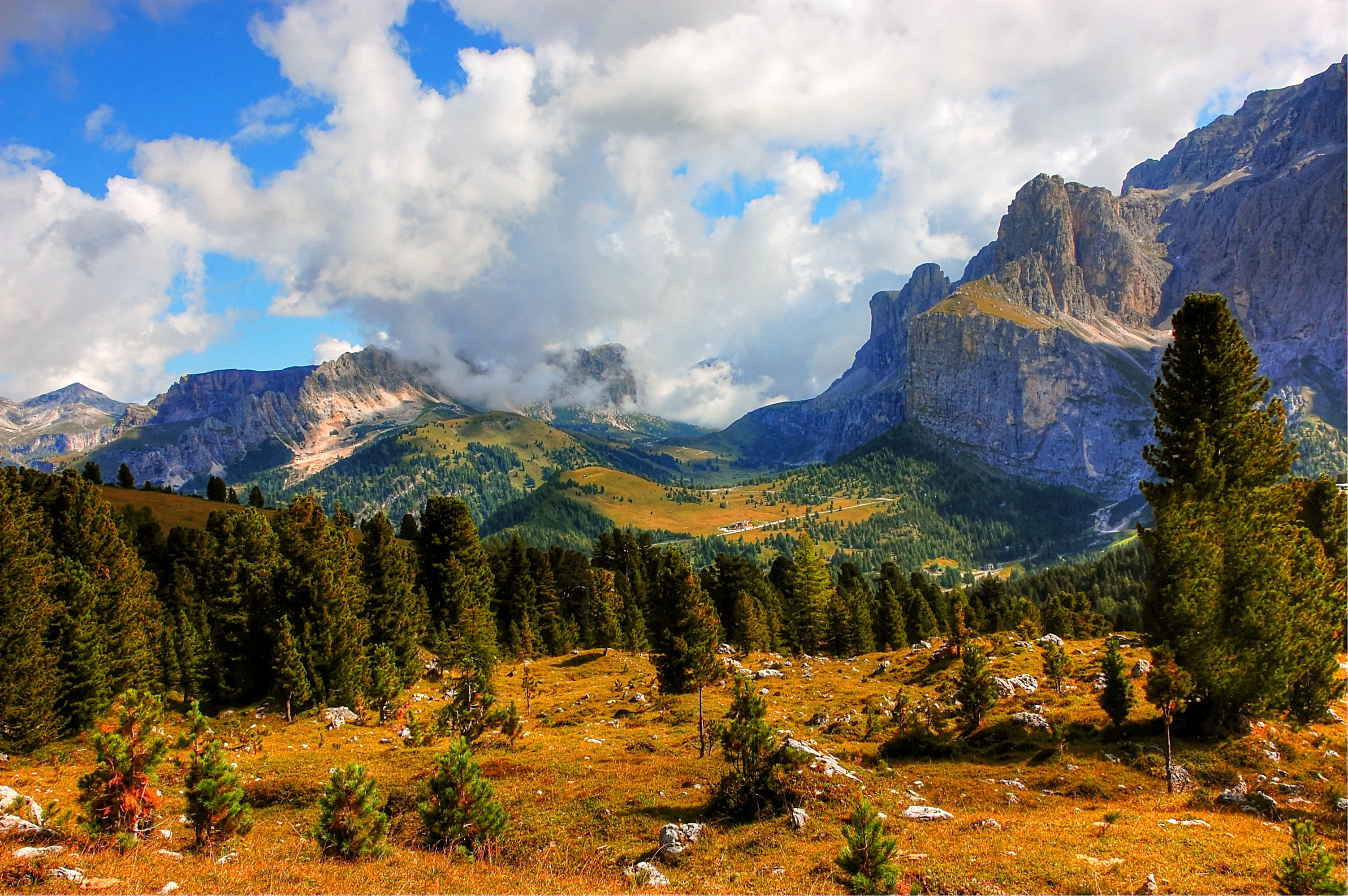 karg, forest, coniferous tree, summer, woodland, rubble field, outdoors, pine woodland, clouds, autumn, mountains, environment, mountain peak, plant, view, HD Wallpaper