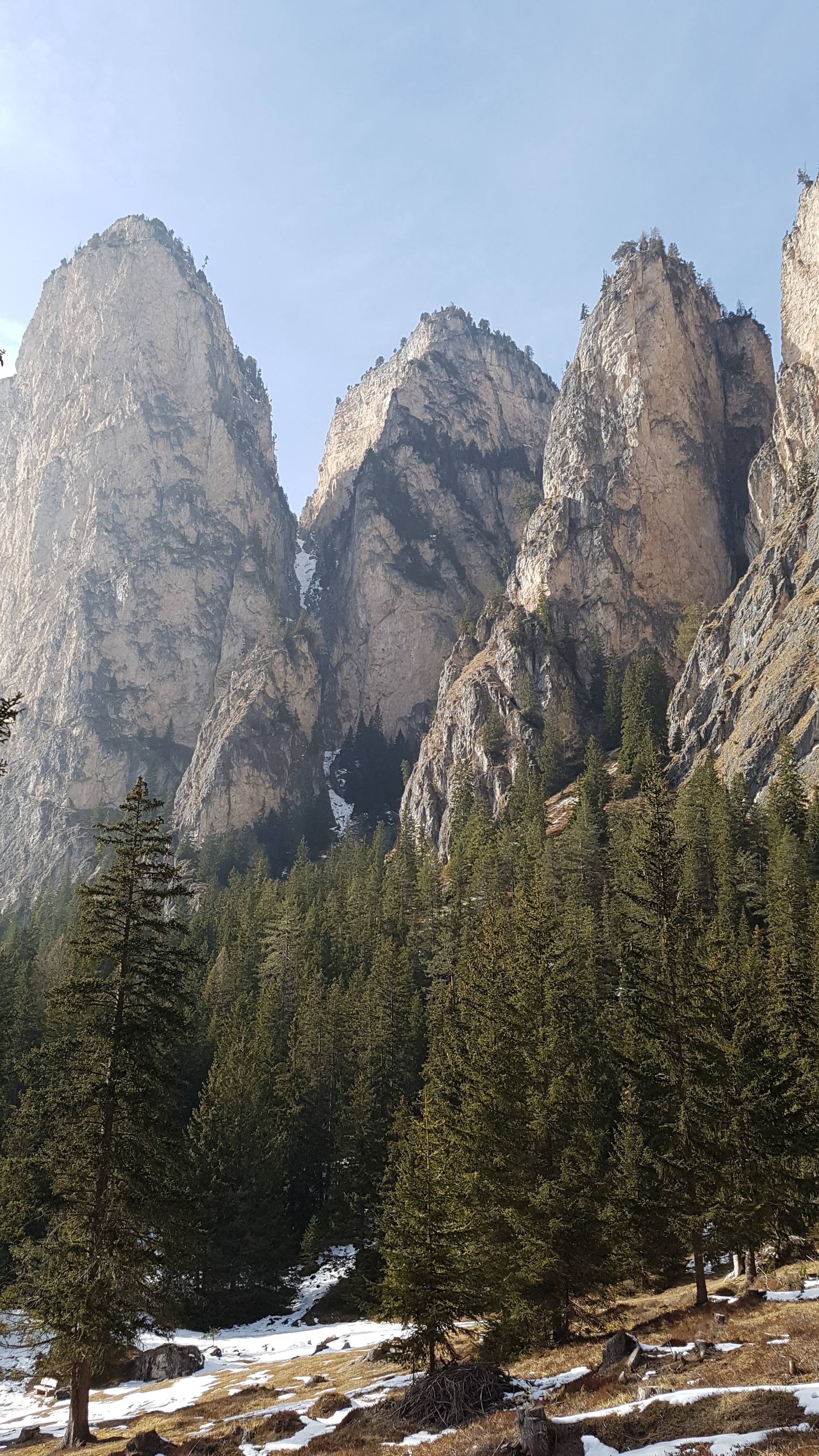 mountain range, formation, italy, tree, sky, trentino, alpine panorama, no people, scenics - nature, alpine, nature, day, cold temperature, tranquil scene, Phone HD Wallpaper