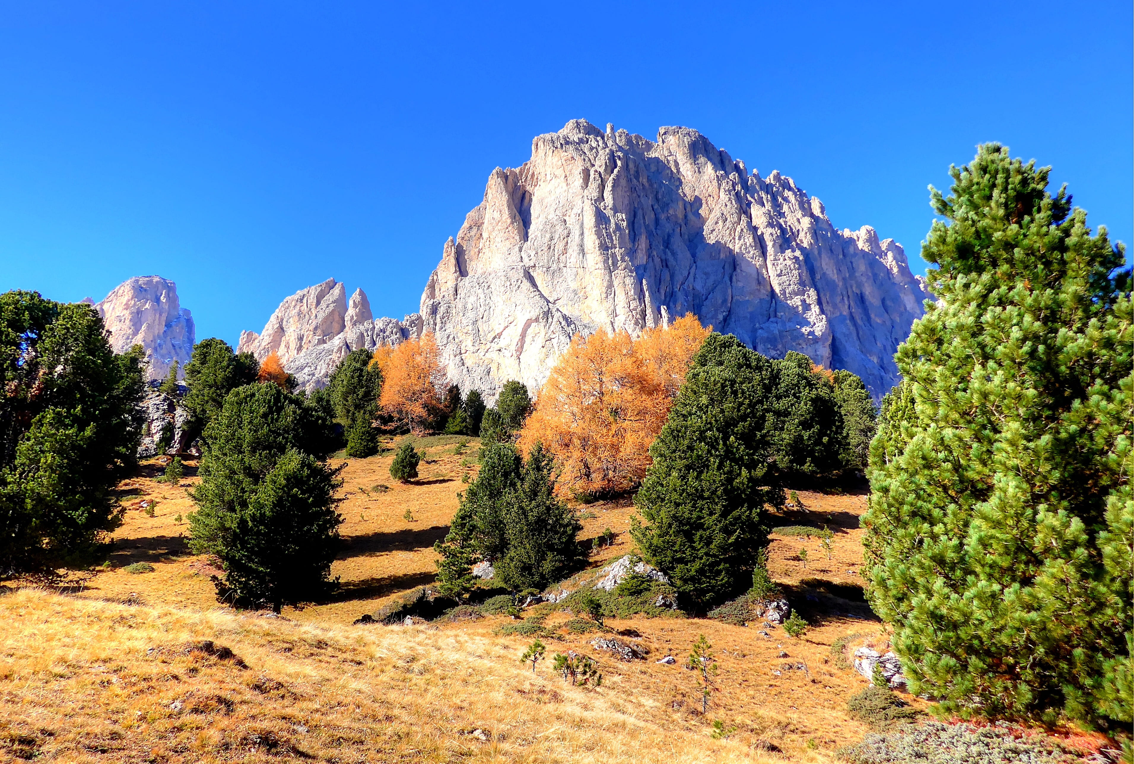 mountain pass, solid, day, alpine panorama, alm, nature, landscape, mountain landscape, tranquil scene, beauty in nature, tree, hiking, pine tree, no people, HD Wallpaper