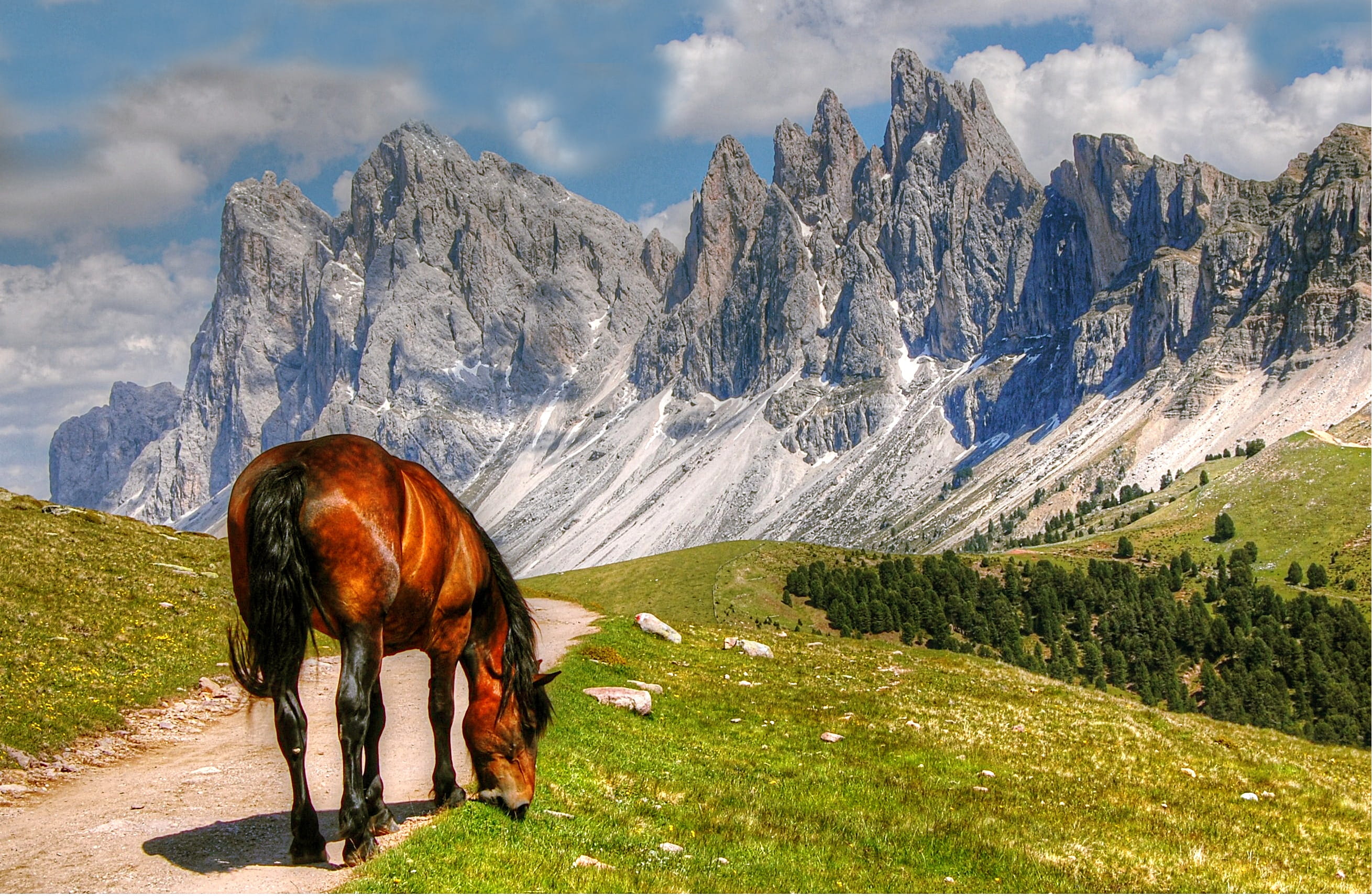 one animal, alm, view, sand, Mountains, alpine, rubble field, imposing, cloud - sky, mountain landscape, mountain, no people, height, 2K, field, Italy, HD Wallpaper