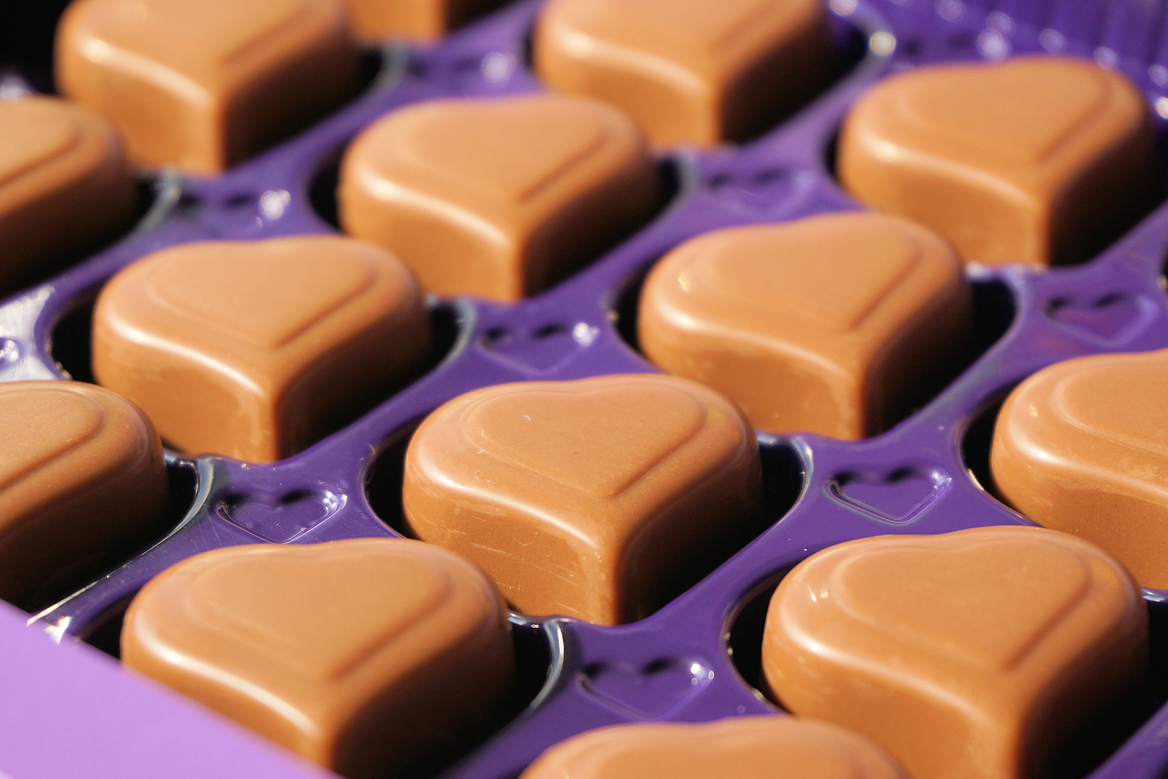 abundance, gourmet, chocolate confectionery, sport, choice, mothers day, chocolate praline, close-up, arts culture and entertainment, studio shot, no people, HD Wallpaper