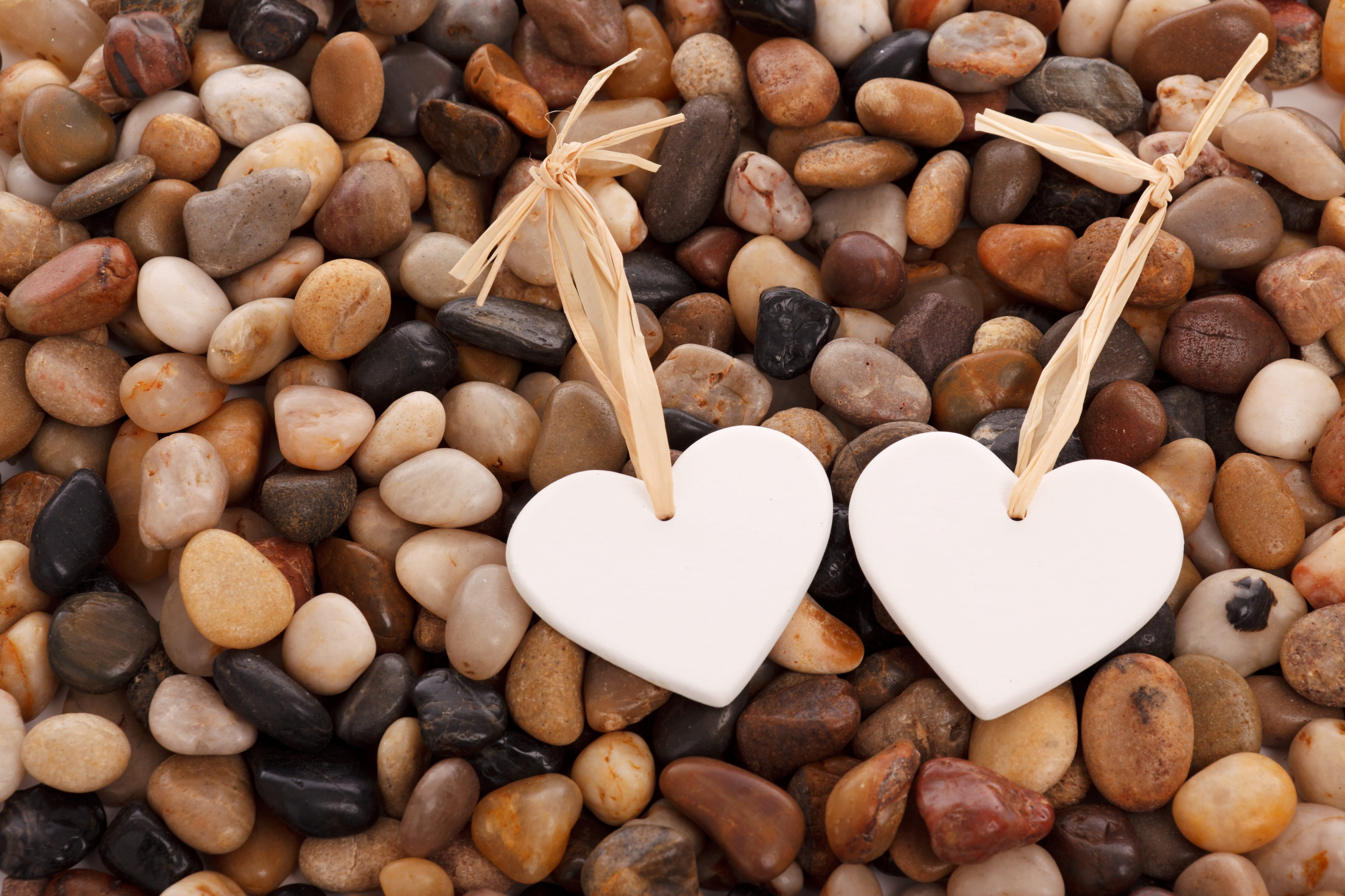 lot, no people, two, freshness, large group of objects, love, positive emotion, nature, sweet food, wellbeing, white, abundance, romantic, healthy eating, HD Wallpaper