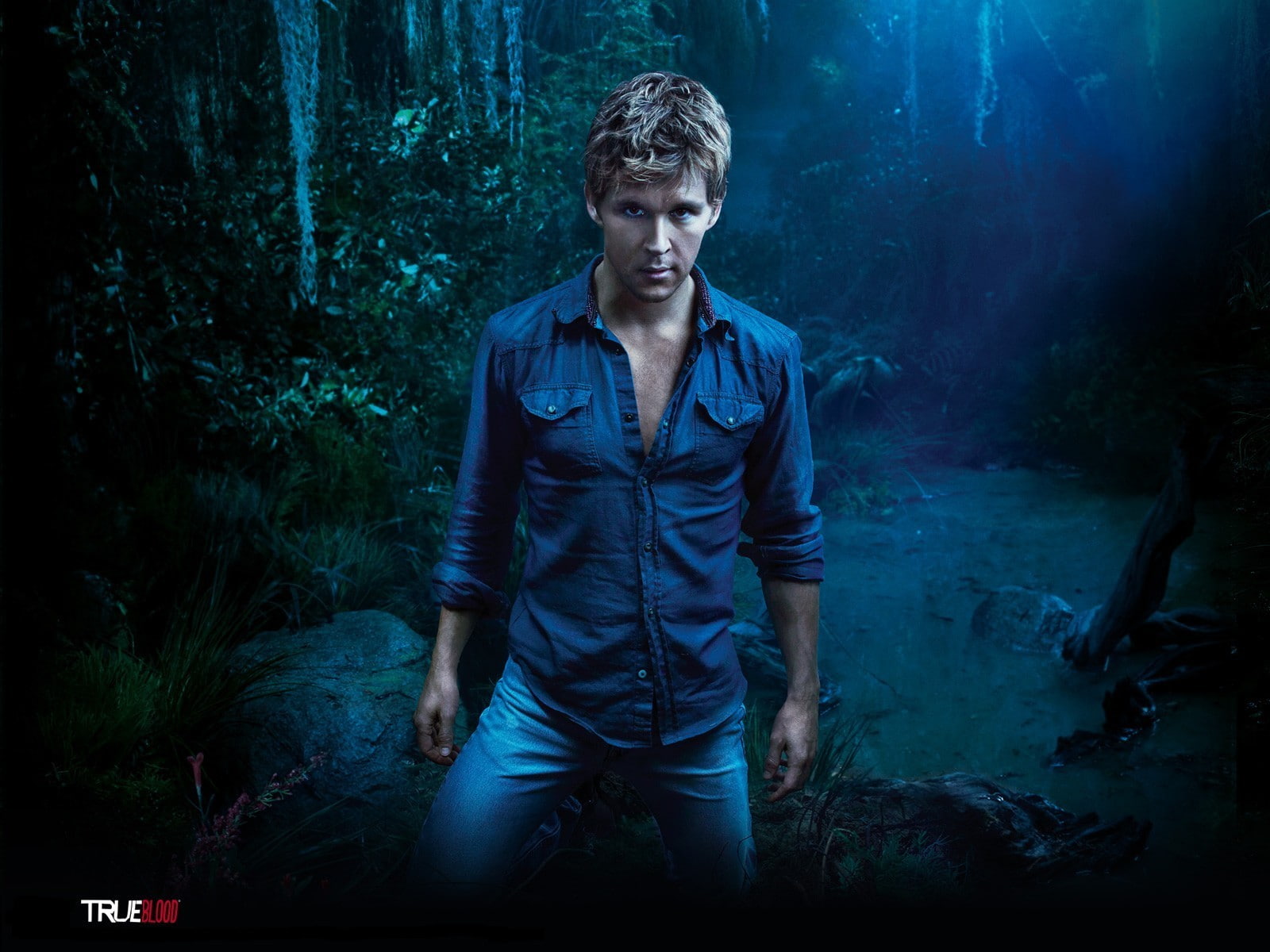 720P, True Blood, HD Wallpaper