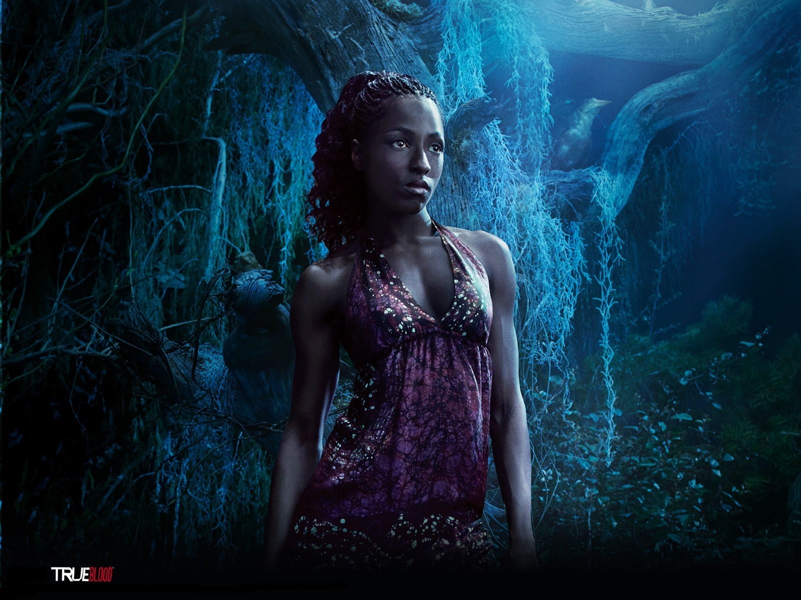 hairstyle, looking, True Blood, fashion, beauty, one person, contemplation, dark, waist up, young adult, digital composite, forest, portrait, beautiful woman, HD Wallpaper