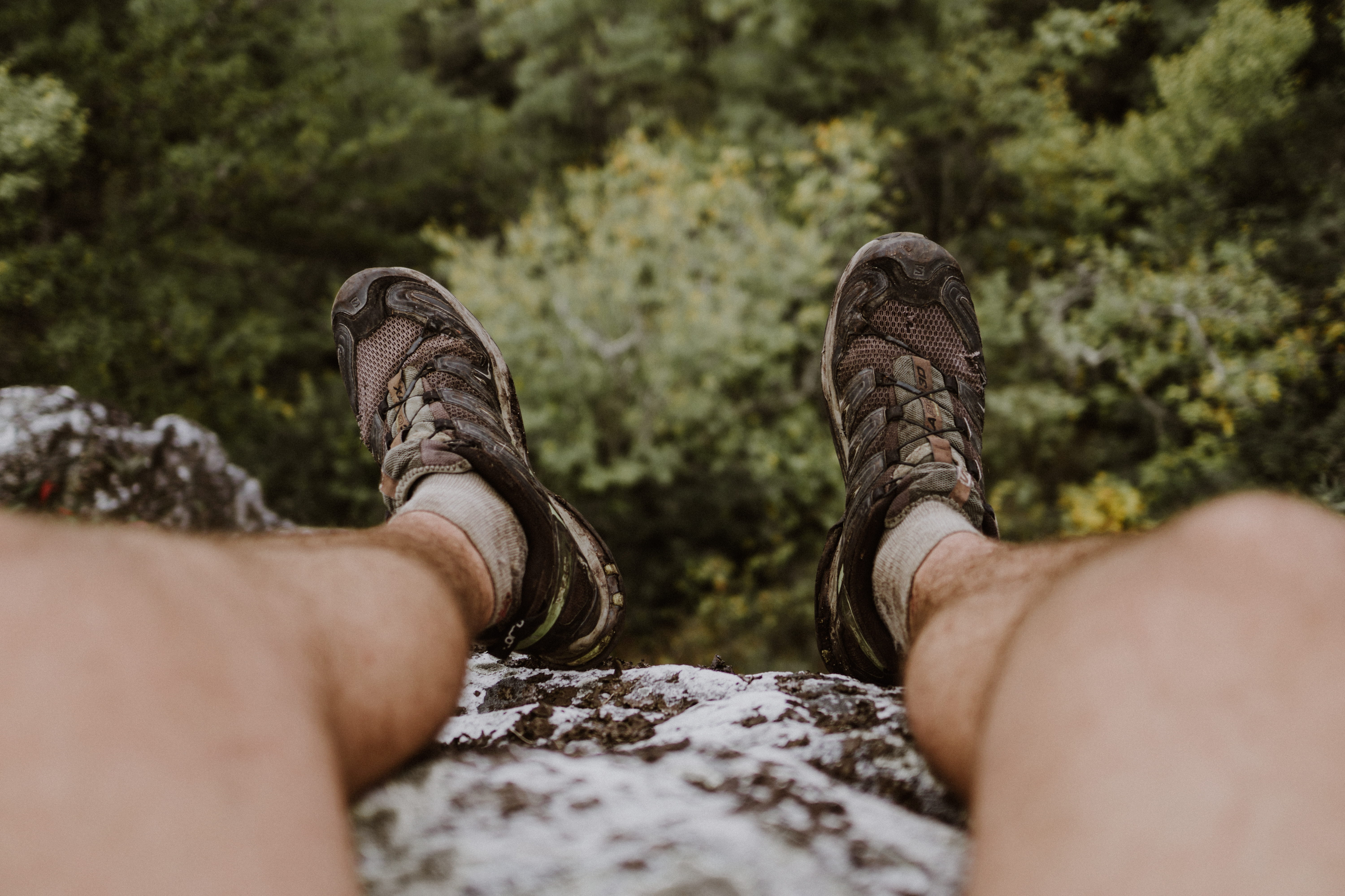 tree, 5K, north carolina, selective focus, human, human leg, feet, day, wears, whiterock cliff, leisure activity, appalachian trail, lifestyles, nature, HD Wallpaper