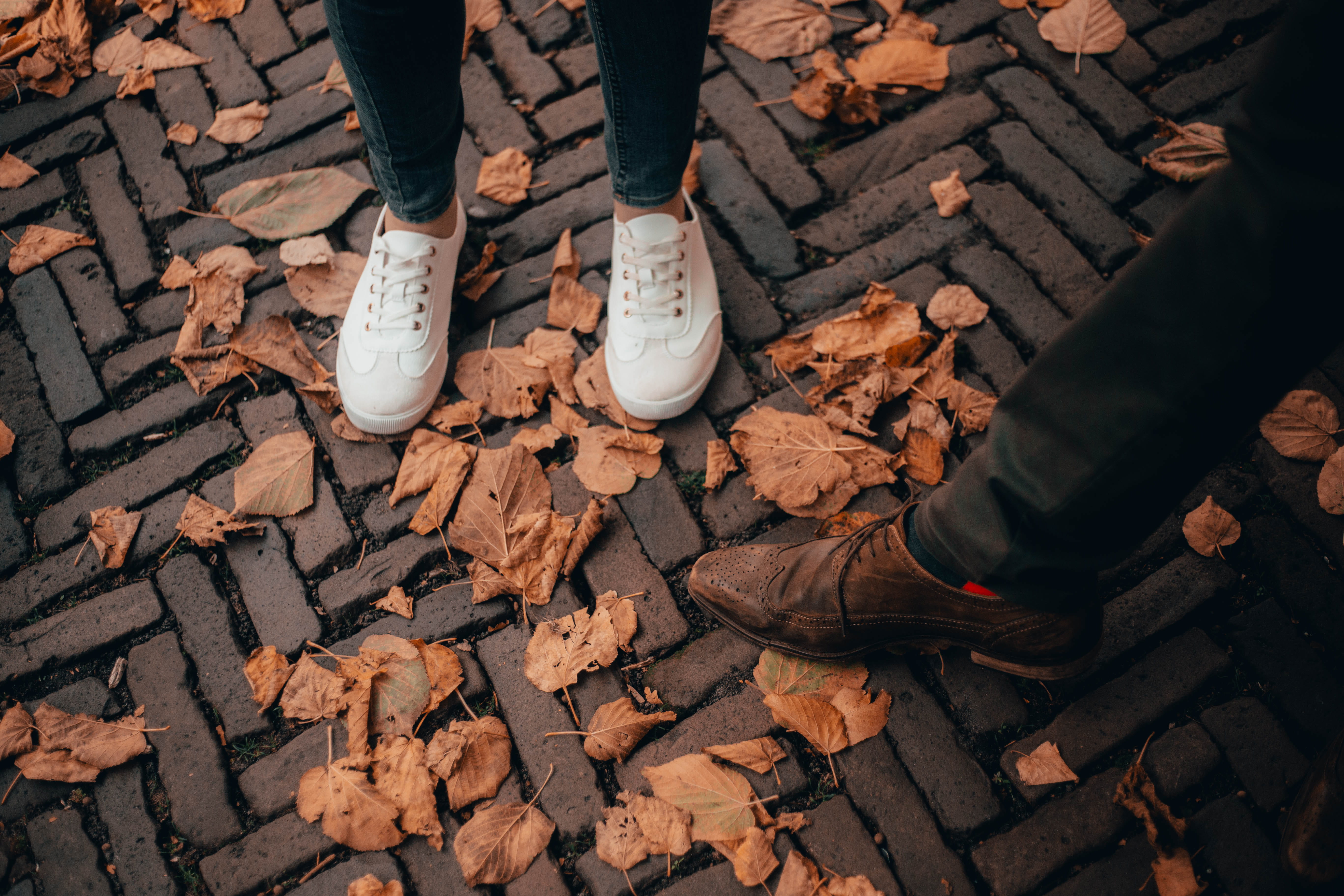 unrecognizable person, fall, sidewalk, leaves, nature, path, leaf, lumber, footwear, 5K, human leg, standing, body part, real people, human foot, human, HD Wallpaper