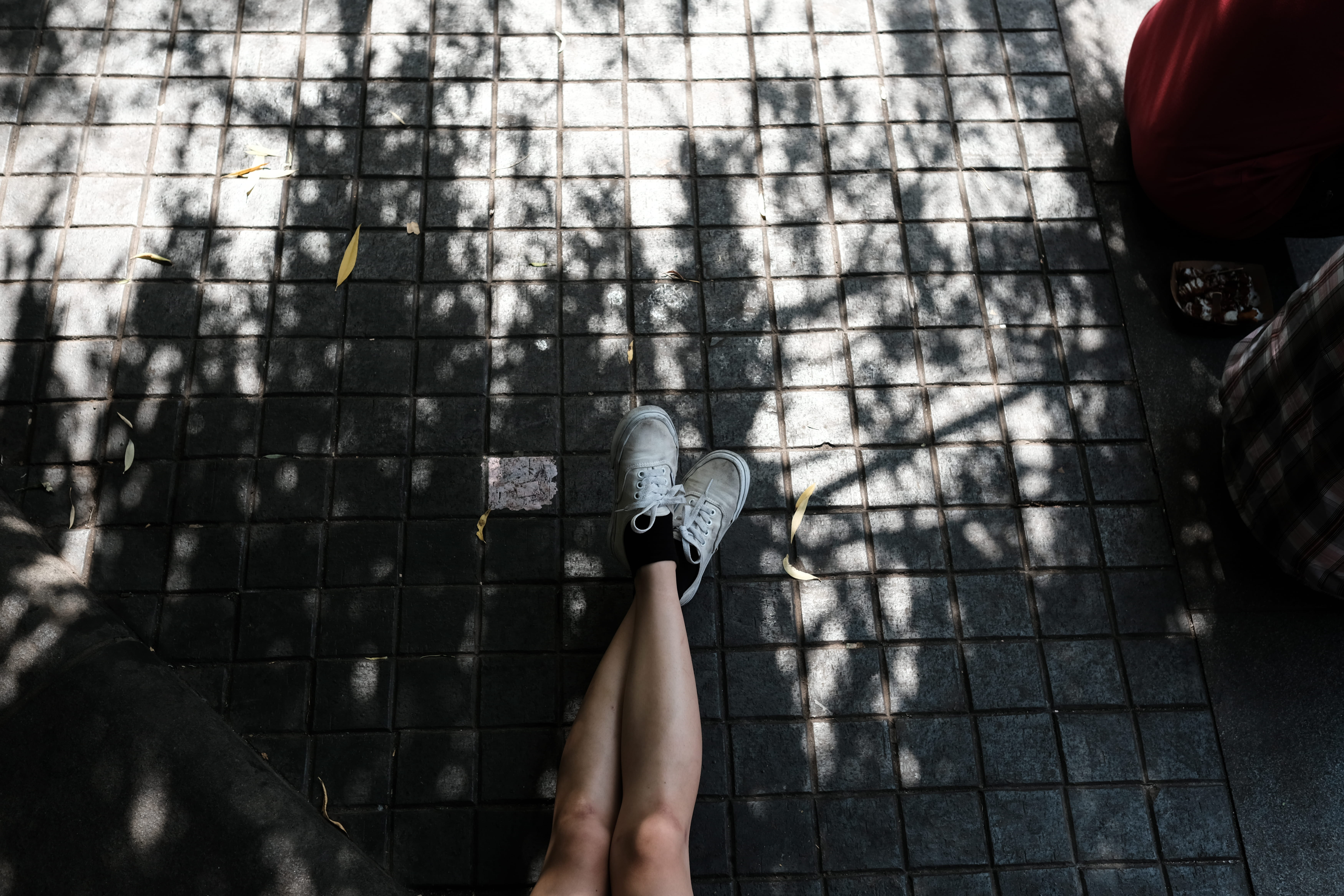 tarmac, finger, wearing, paving stone, pants, lifestyles, nature, day, back, high angle view, personal perspective, human hand, pavement, denim, pedestrian, HD Wallpaper