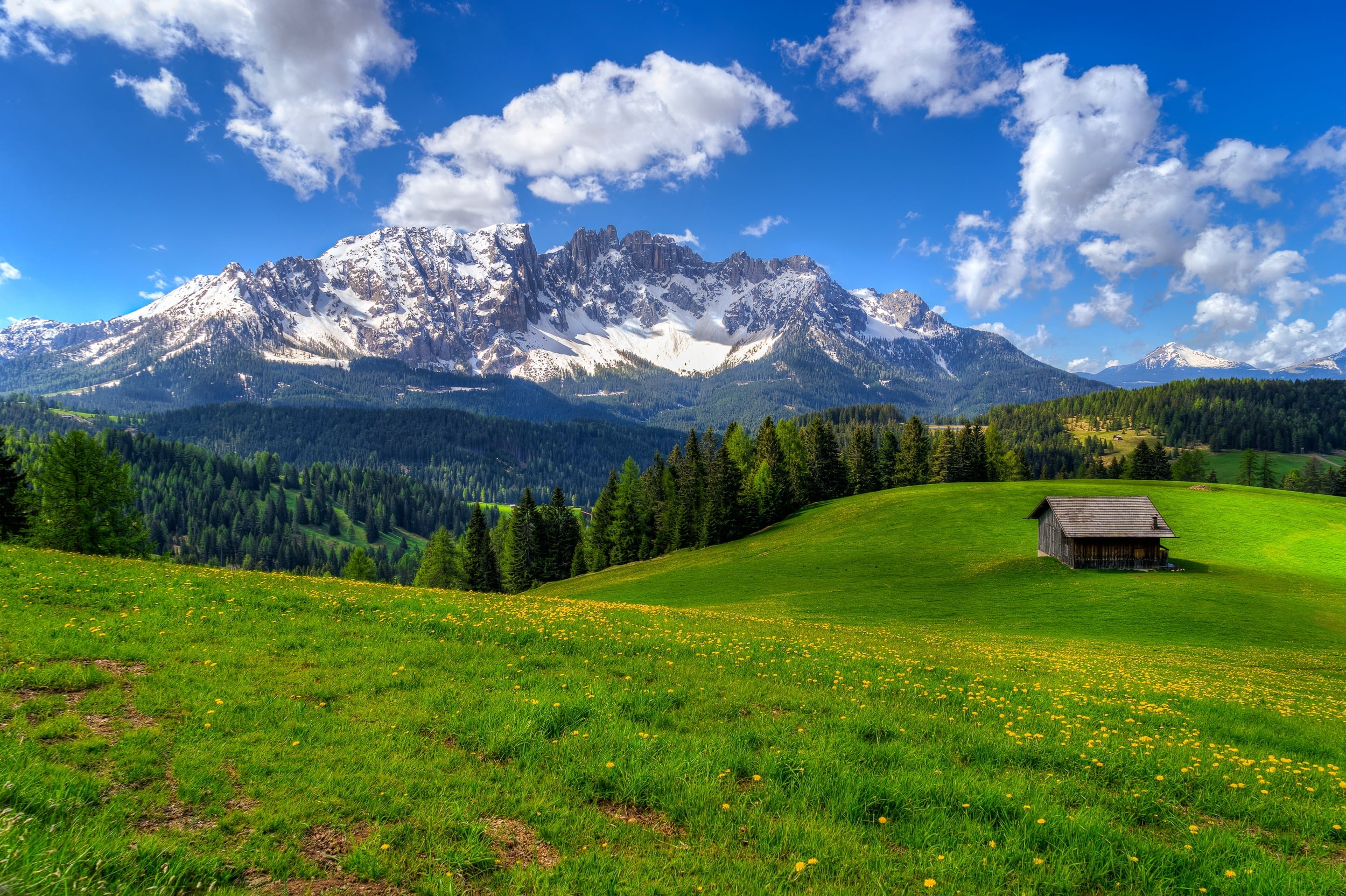 road, cloud - Sky, hill, grass, field, environment, green Color, meadow, wooden, tranquil Scene, sky, austria, europe, bavaria, day, switzerland, travel, HD Wallpaper