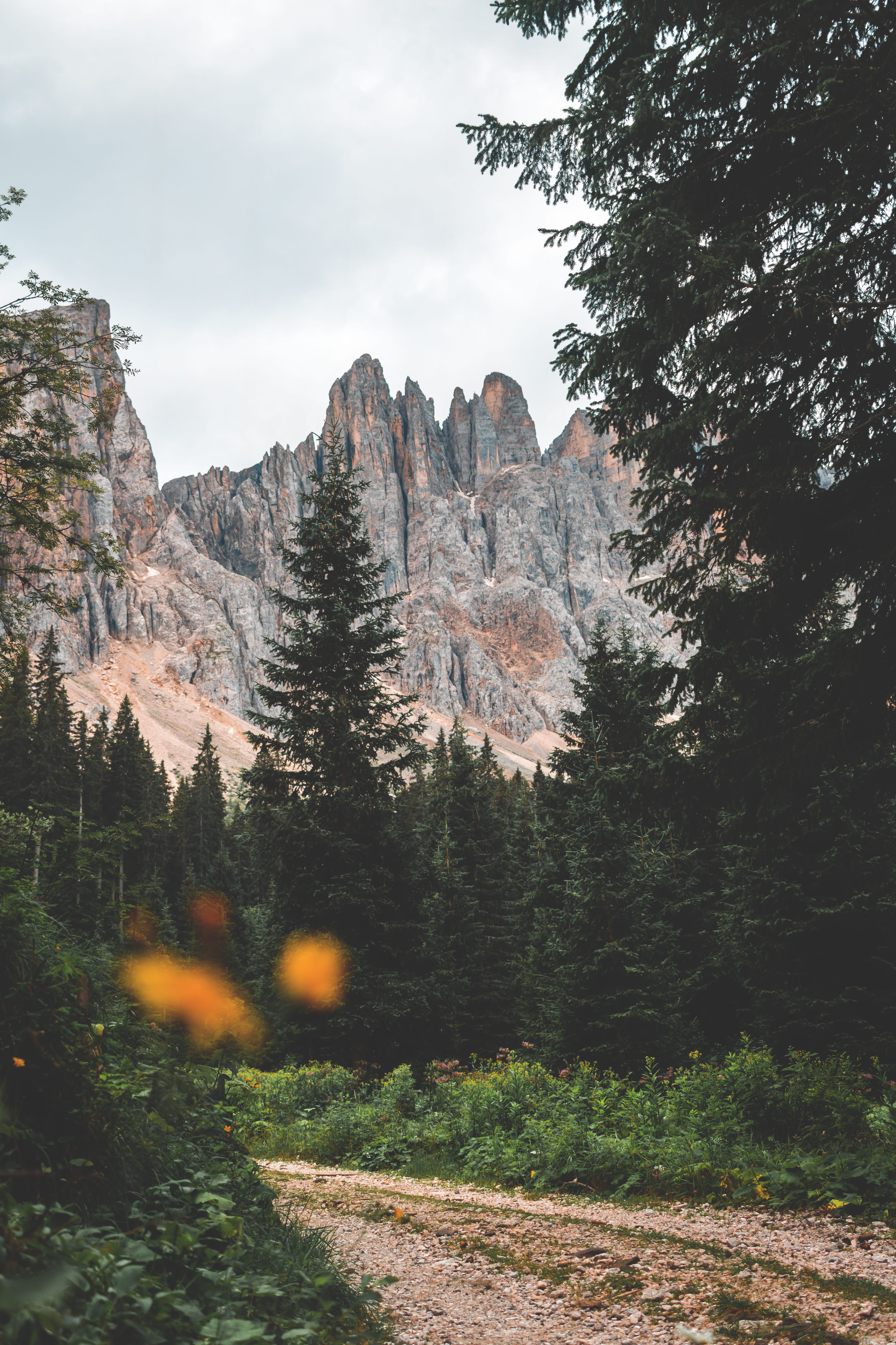 park - Man Made Space, blur, lost, 5K, autumn, near, path, el Capitan - Yosemite National Park, scenics, pathway, landscape, trees, sky, travel, national Park, Phone HD Wallpaper