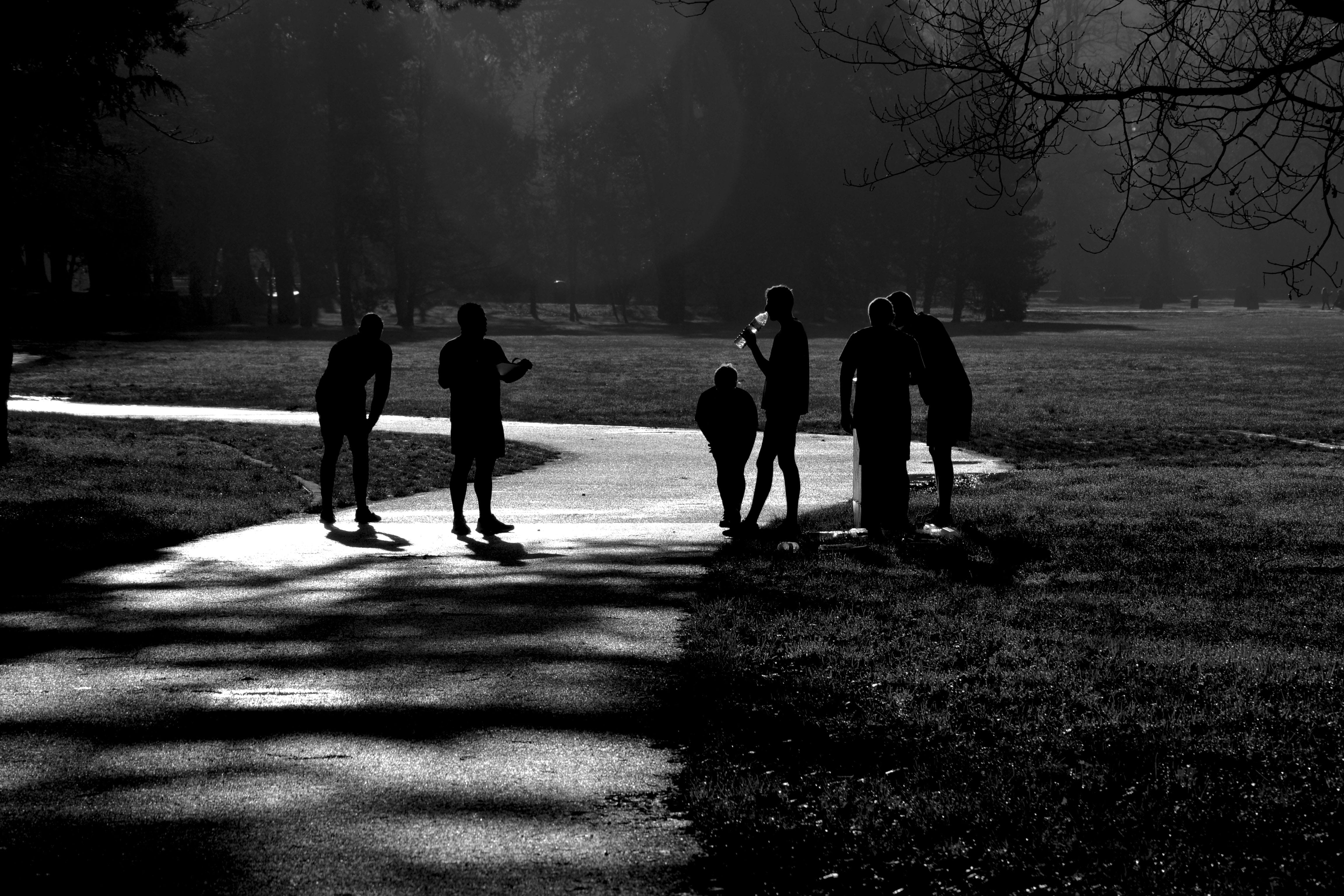 wellness, running, outdoor fitness, jogger, marathon, real people, healthy, young, exercise, shadows, park, recreation, women, active lifestyle, walking, HD Wallpaper