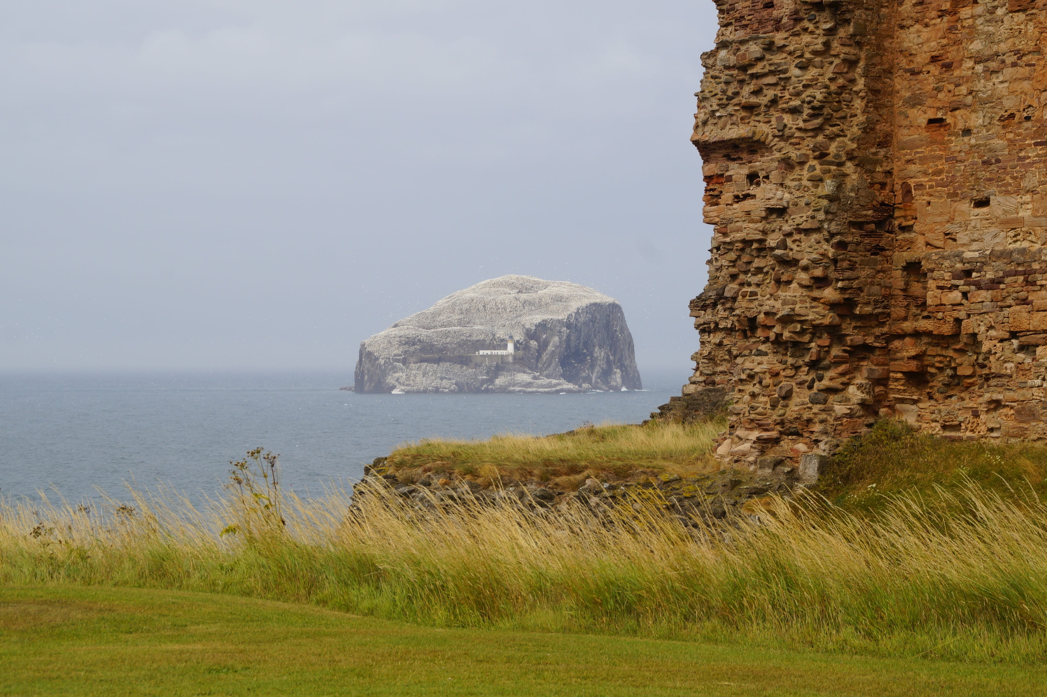 tranquil scene, the firth of forth, coast, tranquility, plant, masonry, beauty in nature, sea, sky, tantallon castle, island, cliff, tantallon, scotland, HD Wallpaper