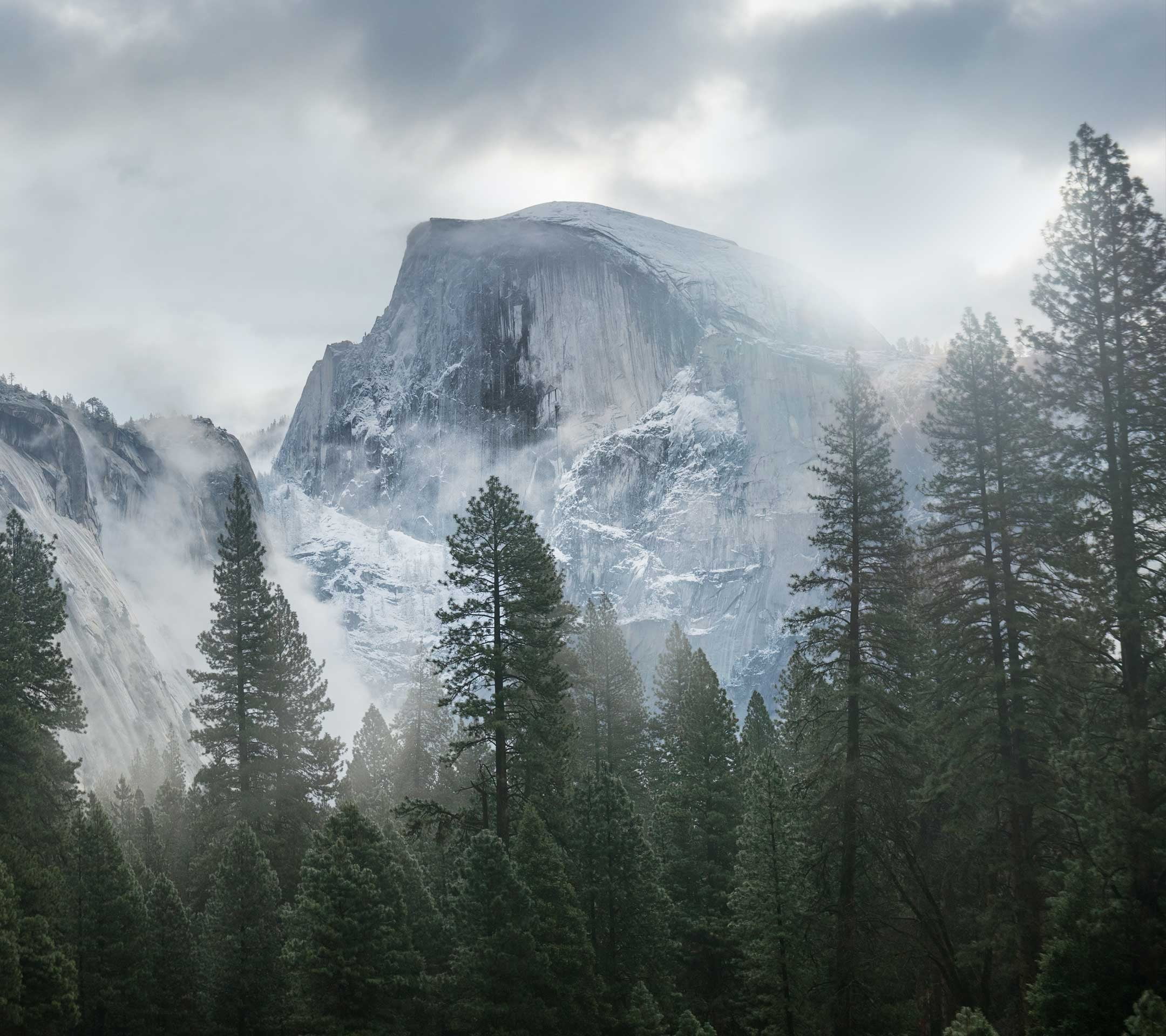 beauty in nature, sunbeam, overcast, pine tree, tree, snowcapped mountain, no people, pine woodland, environment, fog, non-urban scene, mist, trees, sky, HD Wallpaper