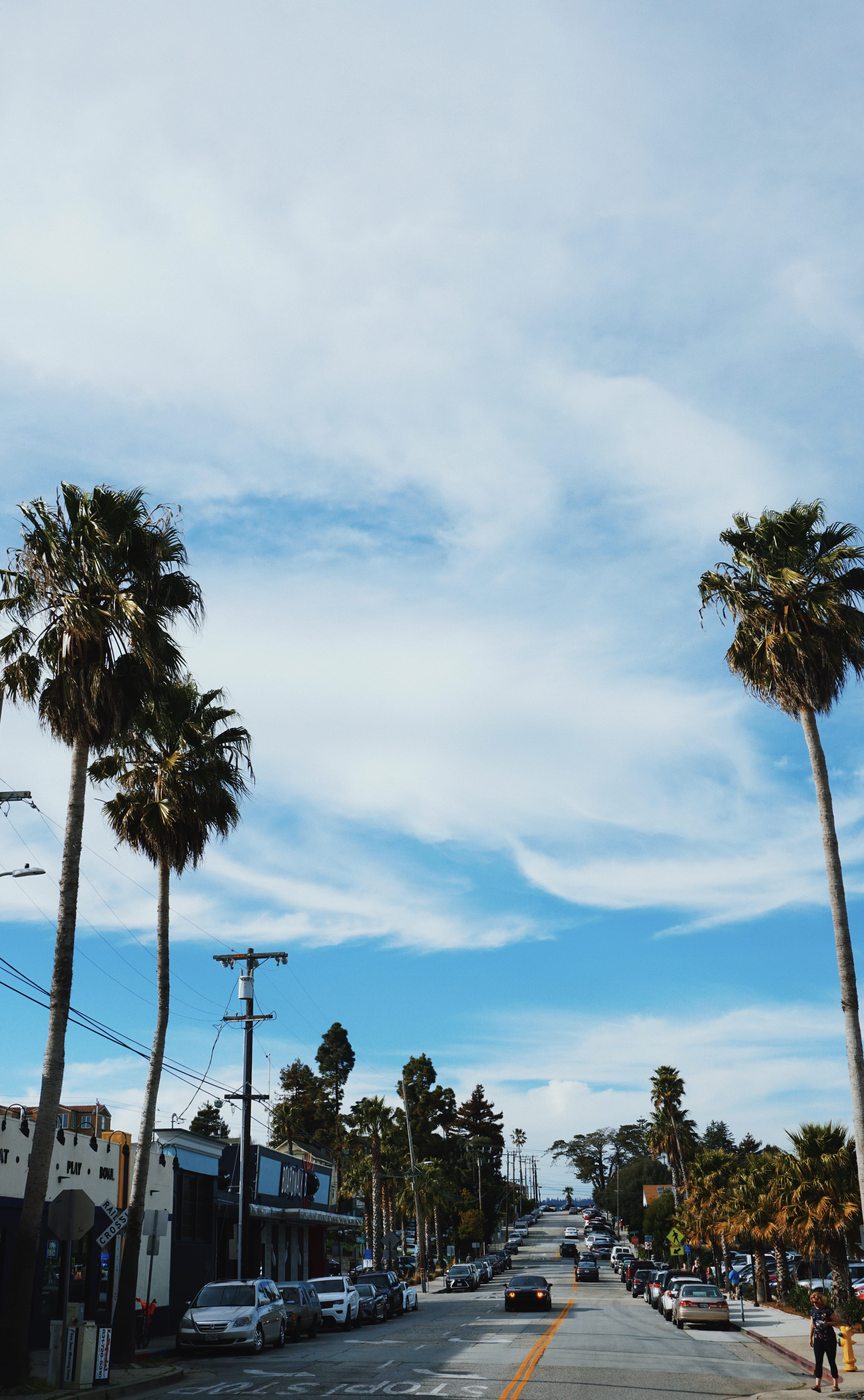 5K, cloud - sky, day, city, coconut palm tree, motor vehicle, nature, person, tropical climate, tree, sunshine, plant, vehicle, beach vibes, palm tree, Phone HD Wallpaper