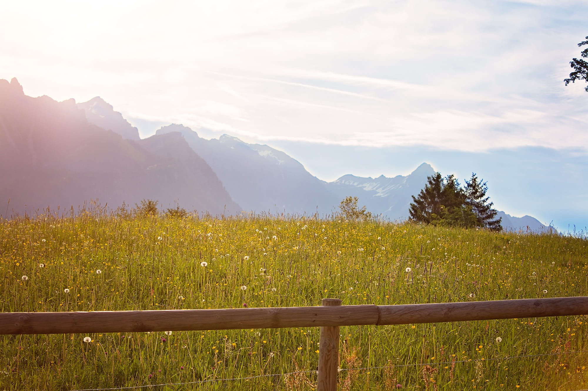 fence, growth, land, tranquility, green, tranquil scene, mountain Peak, austria, idyllic, near, sunlight, green grass, 1080P, nature, grass, meadow, summer, HD Wallpaper