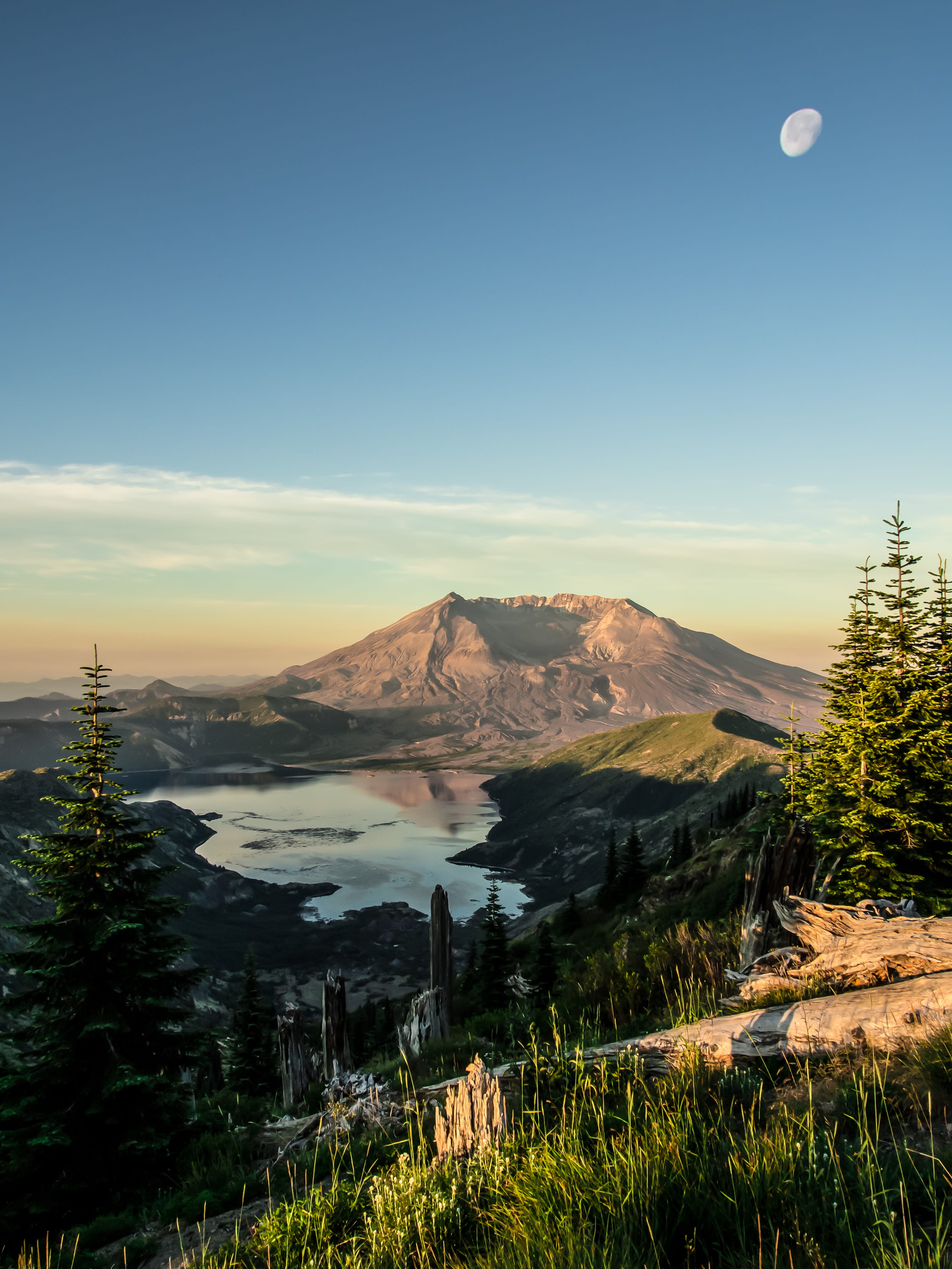 mount st. helens, trees, moon, tranquility, mountain peak, beauty in nature, no people, united states, washington, national park, mountains, water, full moon, Phone HD Wallpaper