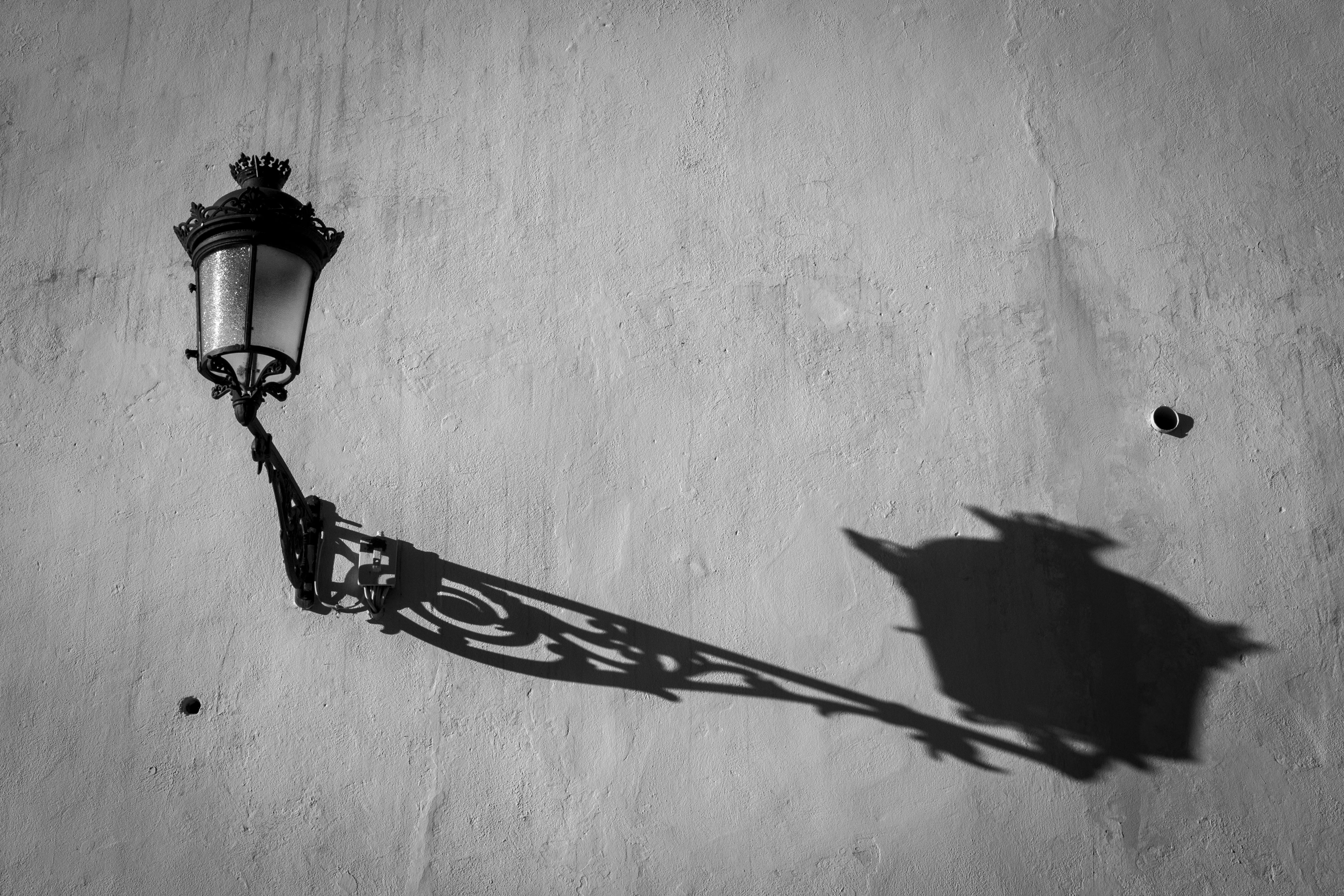 flower, street light, architecture, low angle view, 5K, lighting equipment, plant, light, lamp, black and white, outdoors, shadow, electric lamp, urban, HD Wallpaper