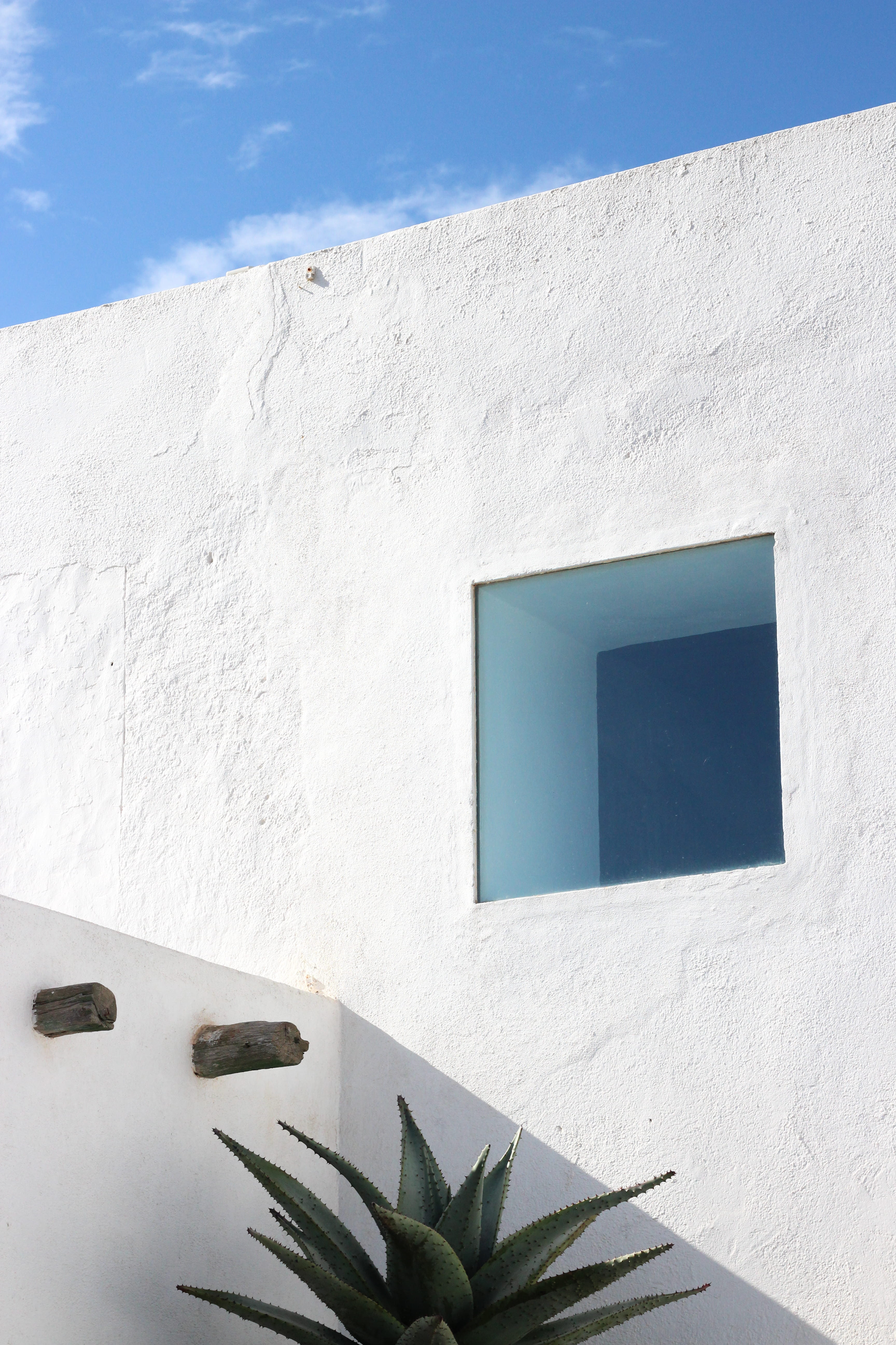 architecture, white color, shadow, building exterior, wall, day, black, wall - building feature, focus on shadow, low angle view, built structure, plant, Phone HD Wallpaper