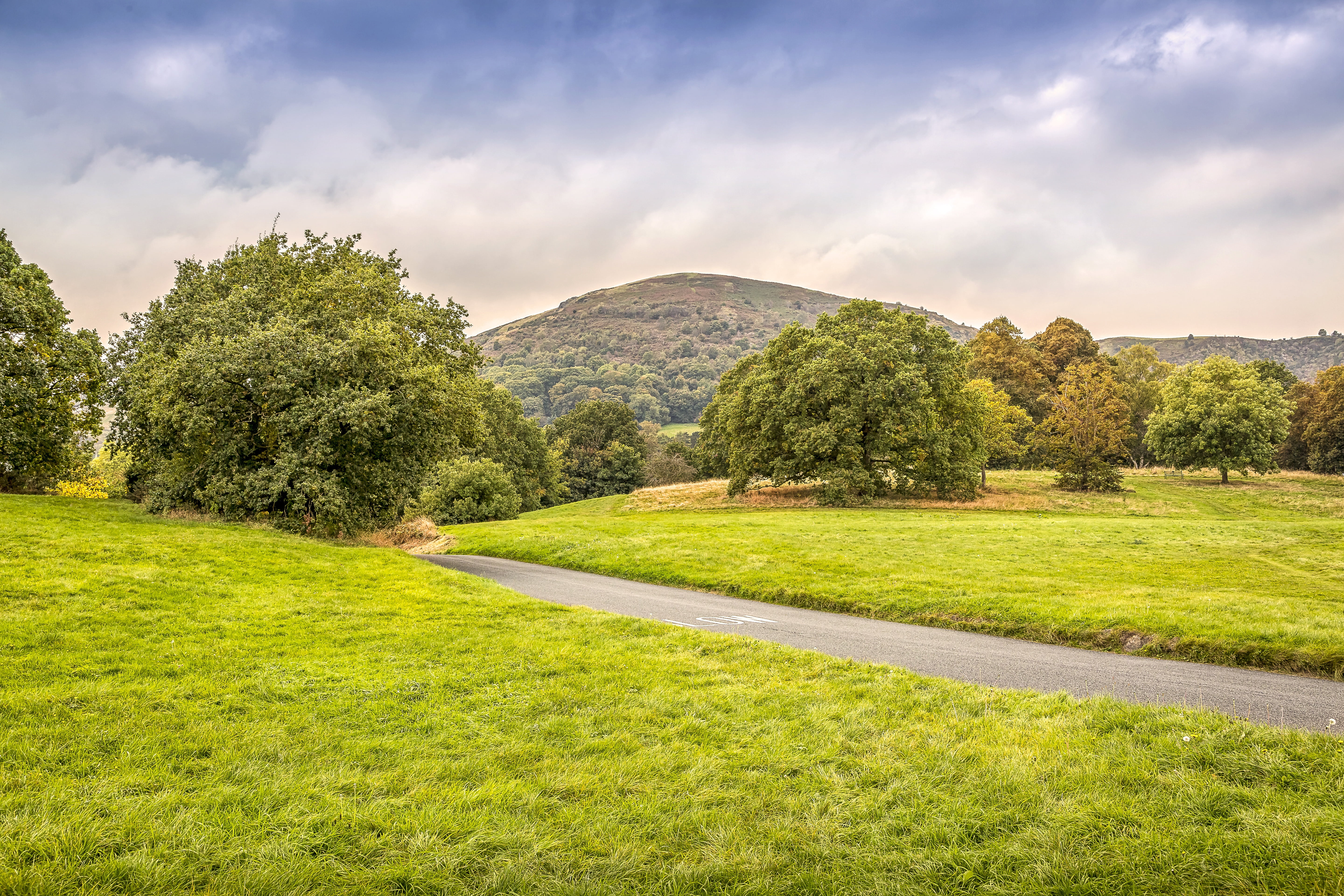 tree, scenics - nature, english, countryside, ornamental garden, summer, grass, rural, plant, no people, 5K, mountain, beauty in nature, land, horizon, HD Wallpaper