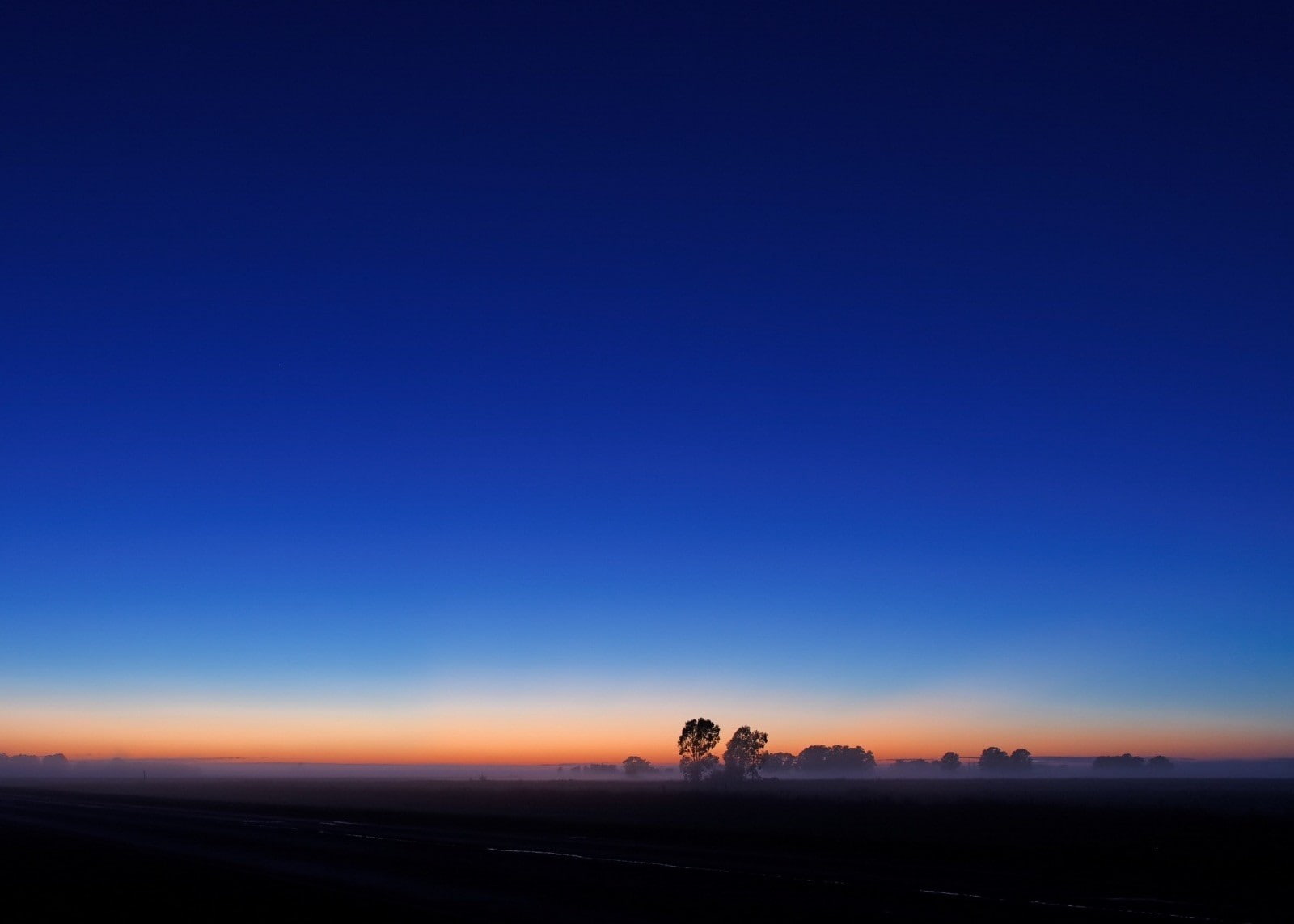 beauty in nature, sunset, sky, mammal, landscape, animal wildlife, environment, trees, land, animal themes, scenics - nature, outdoors, 720P, distant, HD Wallpaper