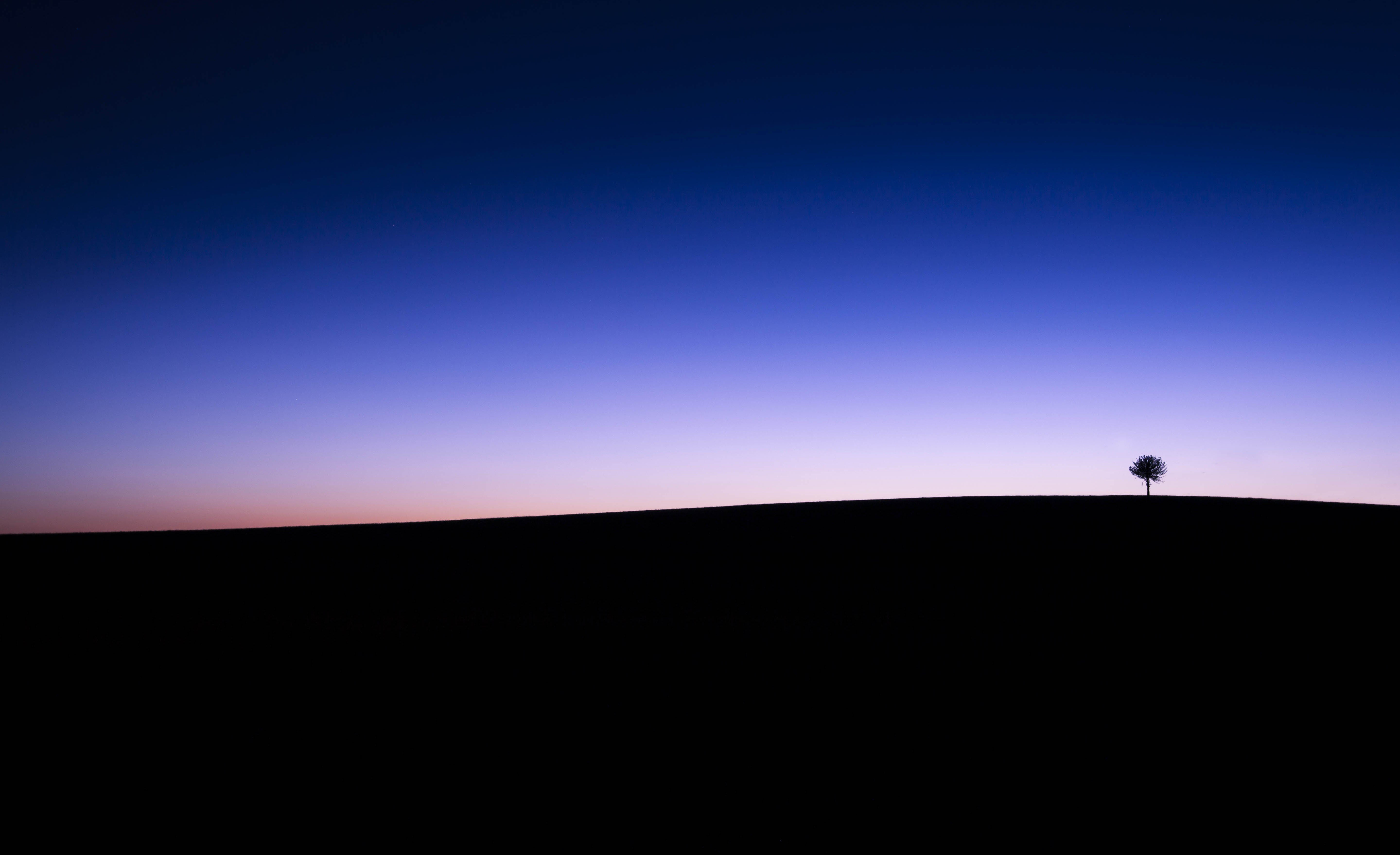 5K, tranquility, silhouette, silhouette horizon, one animal, distant, horizon over land, environment, looking at view, land, animal, standing, copy space, HD Wallpaper