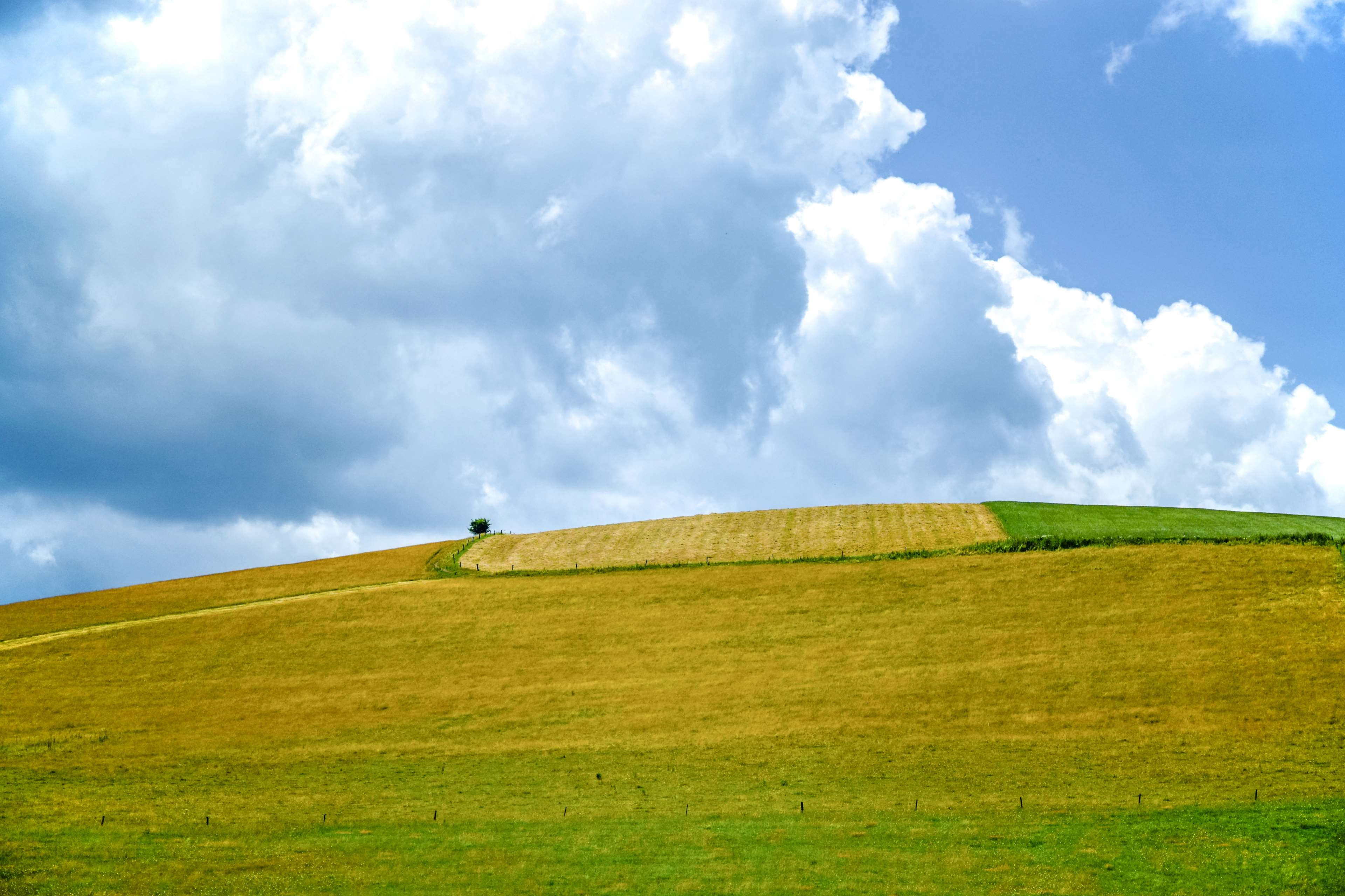 beauty in nature, green color, sky, sunlight, landscape, farmland, hill, daylight, scenics - nature, nature, grass, environment, land, calm, hayfield, farm, HD Wallpaper