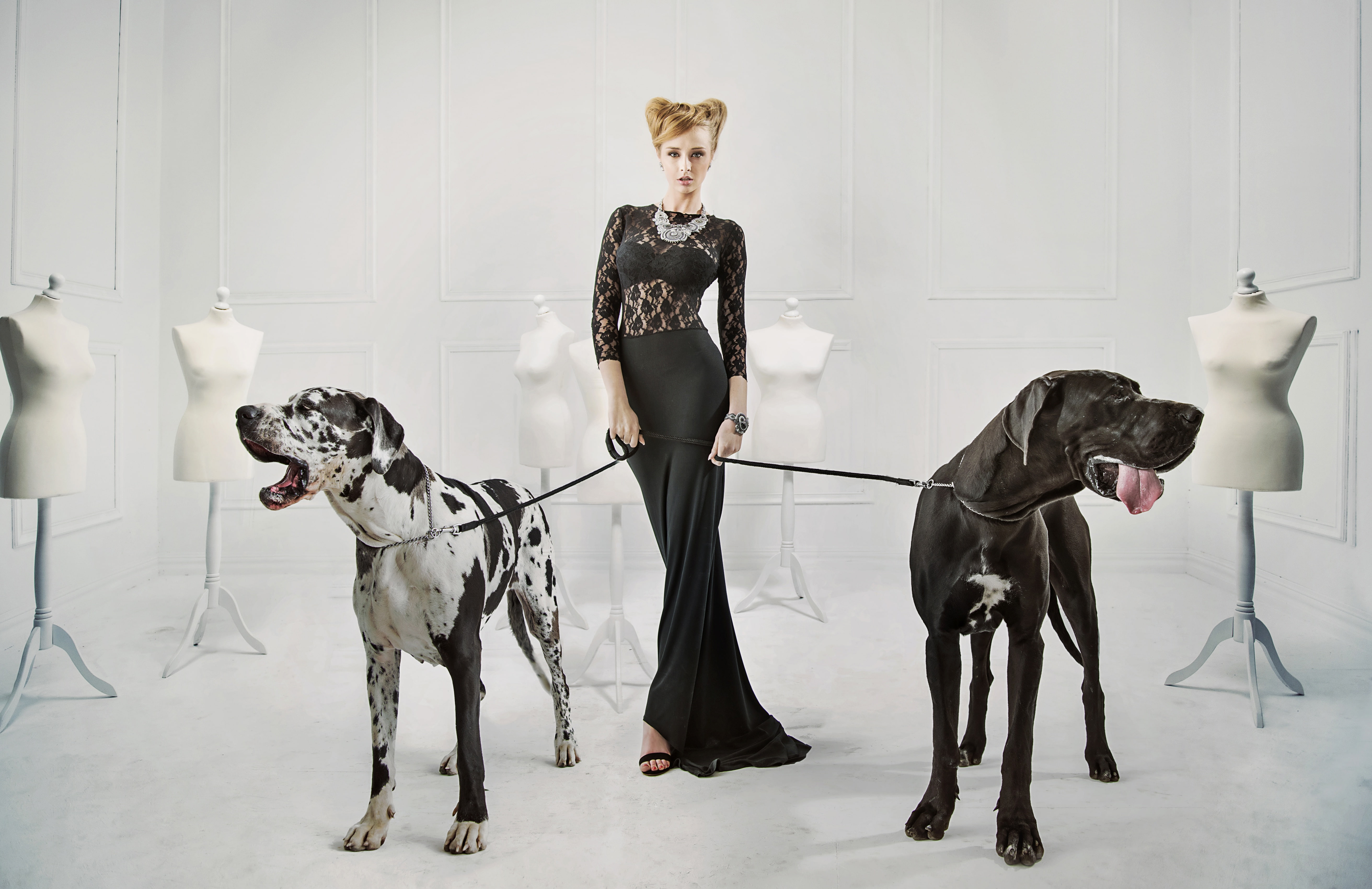 makeup, grace, in black, necklace, leashes, dogs, great Dane, figure, blonde, dress, beauty, girl, hairstyle, 5K, pose, mannequins, decoration, HD Wallpaper