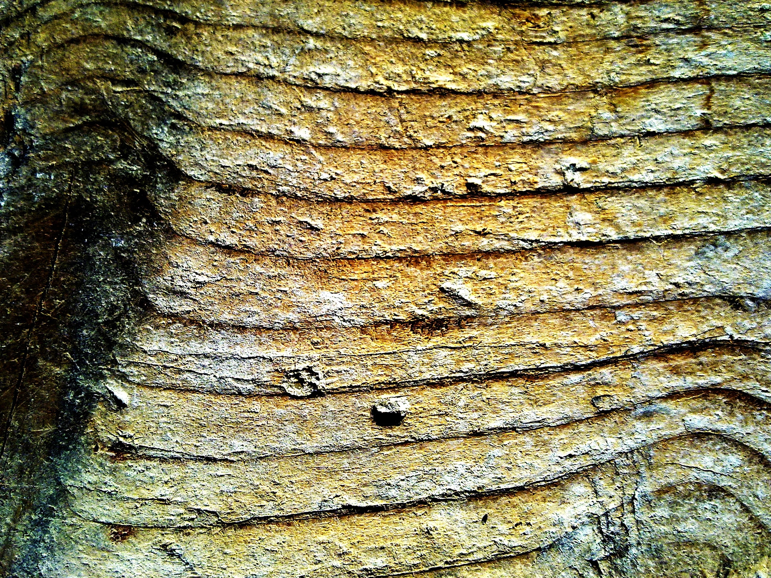 Grain, wooden wall, wood grain, wood, outdoors, tree trunk, 2K, aesthetics, close, day, no people, light blue, rough, Color, plant bark, timber, textured, HD Wallpaper
