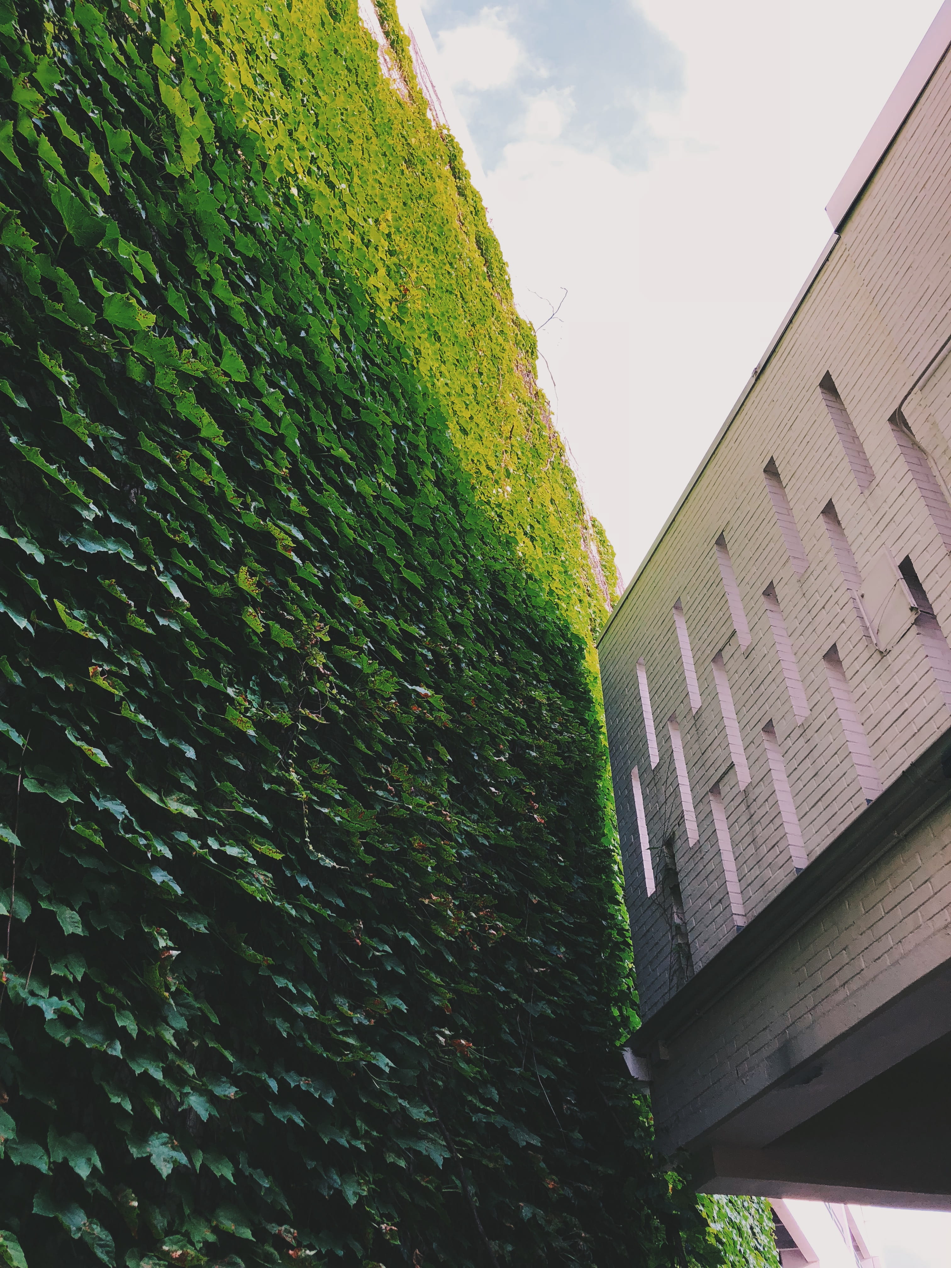 low angle view, wall - building feature, white, 4K, day, no people, green color, sky, contour, 1000 blythe blvd, contemporary, charlotte, house, outside, Phone HD Wallpaper