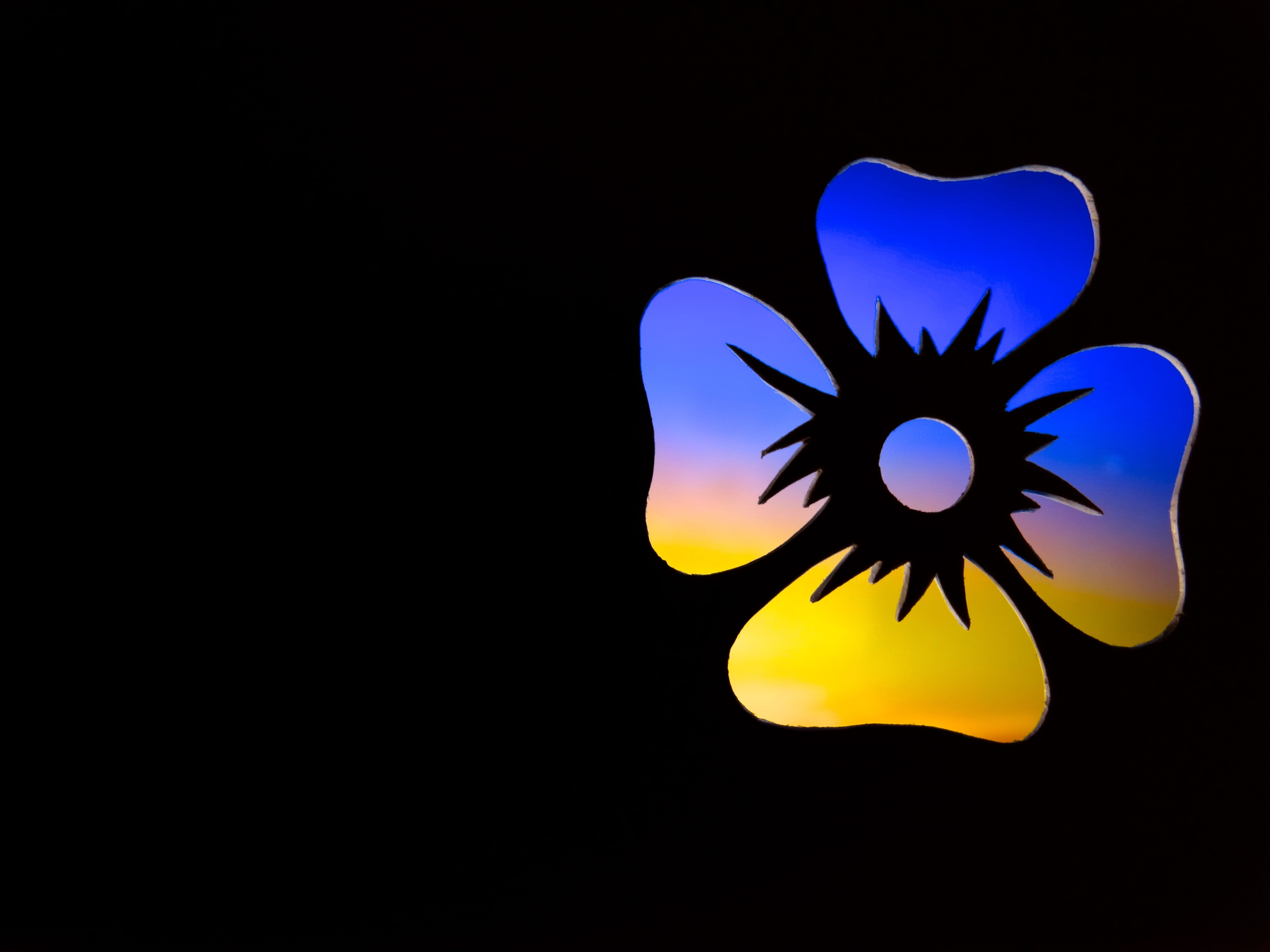 celebration, illuminated, yellow, flower, close-up, human body part, black background, beauty in nature, silhouette, flower head, freshness, blue, contour, HD Wallpaper