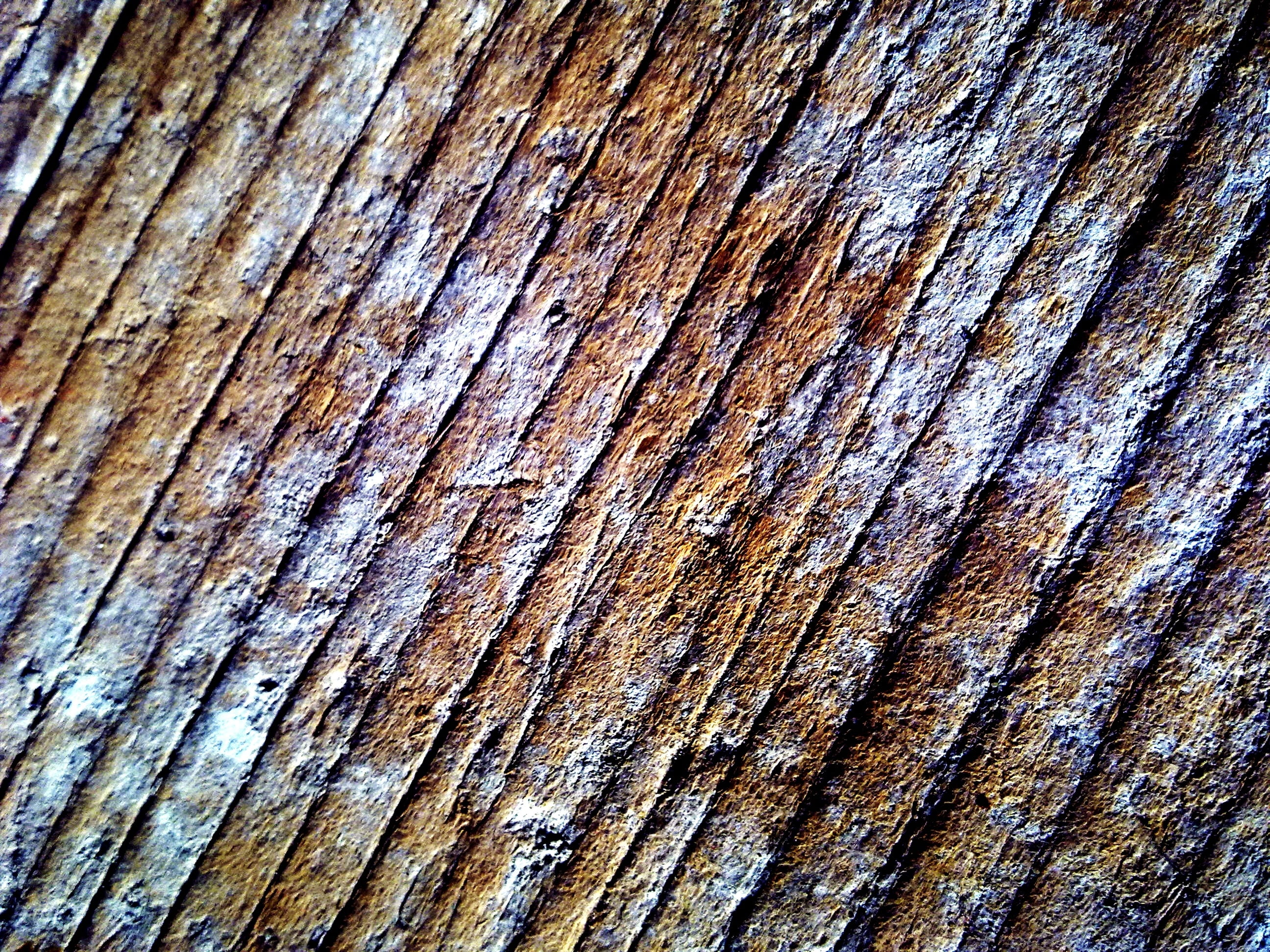 close up, color, contours, weathered, 2K, wood - material, light blue, tree trunk, plank, wood, aesthetics, facade, form, textured, grain, wood grain, HD Wallpaper