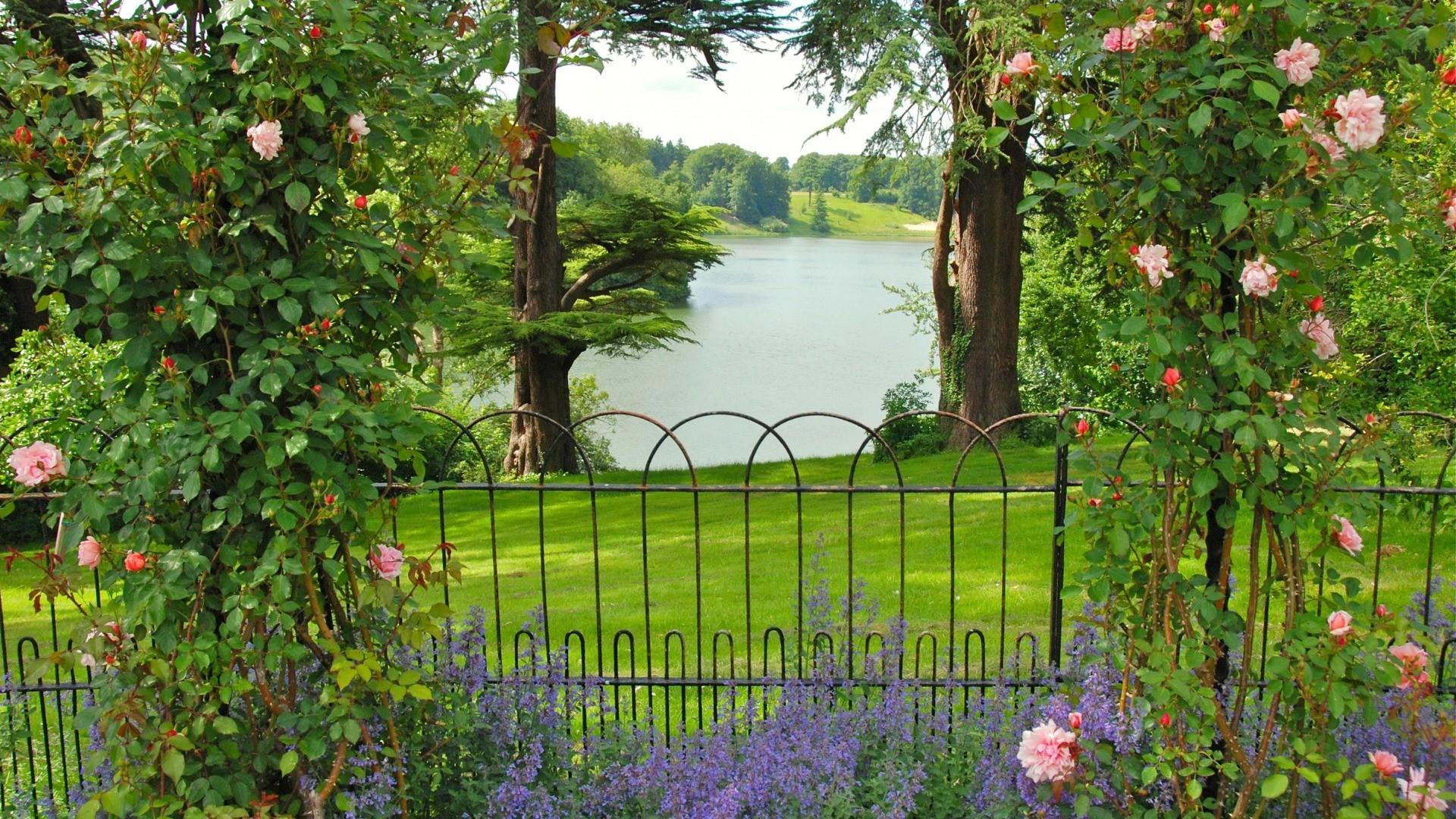 nature, tranquility, outdoors, fence, plant, day, no people, gate, garden, landscape, green, flower, flowering plant, 1080P, water, metal, green color, HD Wallpaper