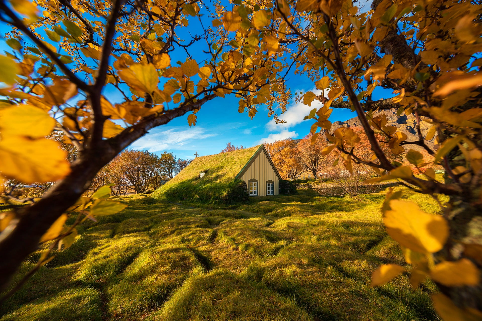 1080P, Turf Church, Iceland, Hof, sod Church, The yard, trees, autumn, branches, HD Wallpaper