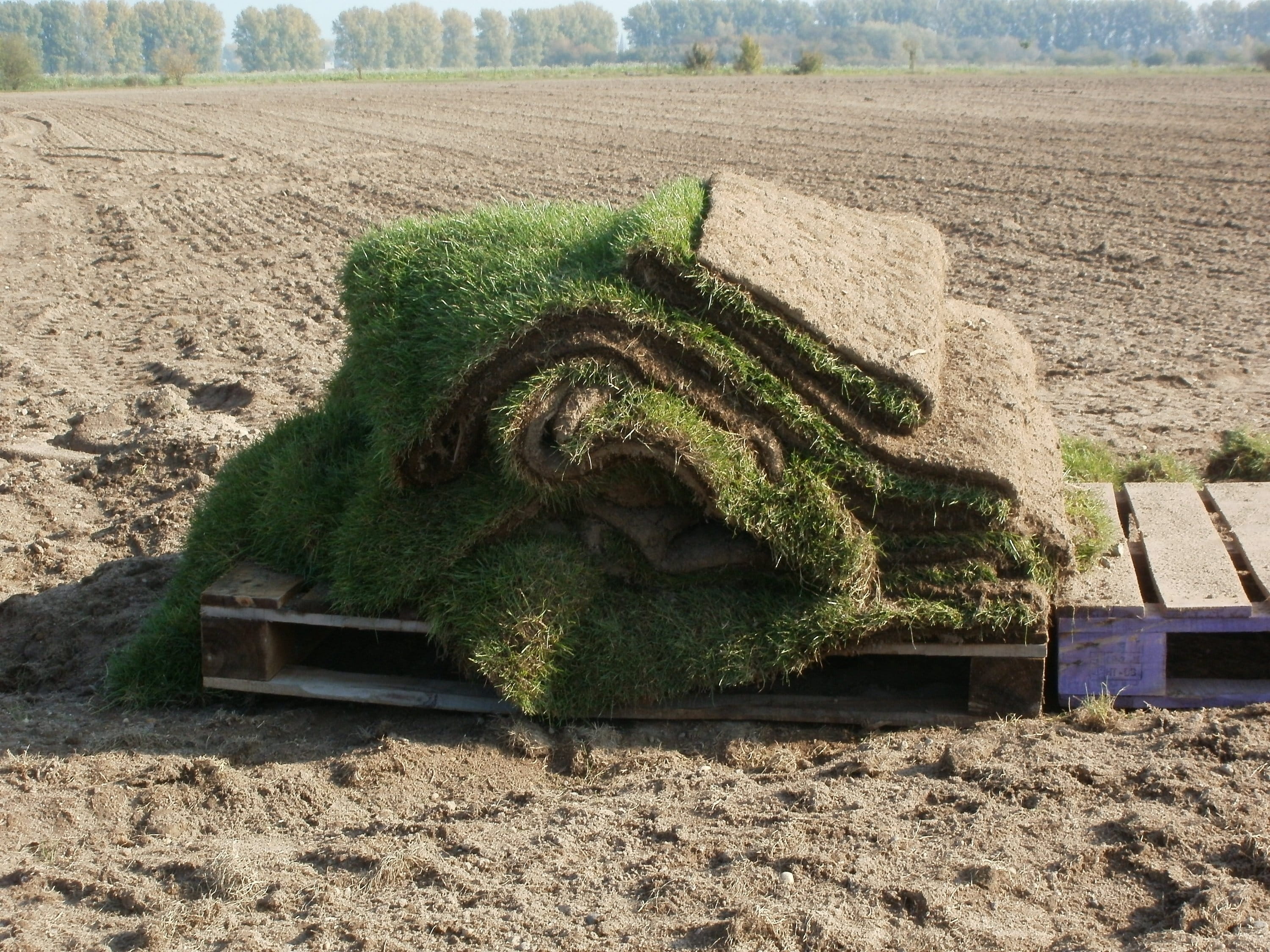 palette, agriculture, Grass, roll, no people, hedge, green color, Farming, new, sunlight, Dirt, carpet, environment, old, built structure, plant, rural scene, HD Wallpaper