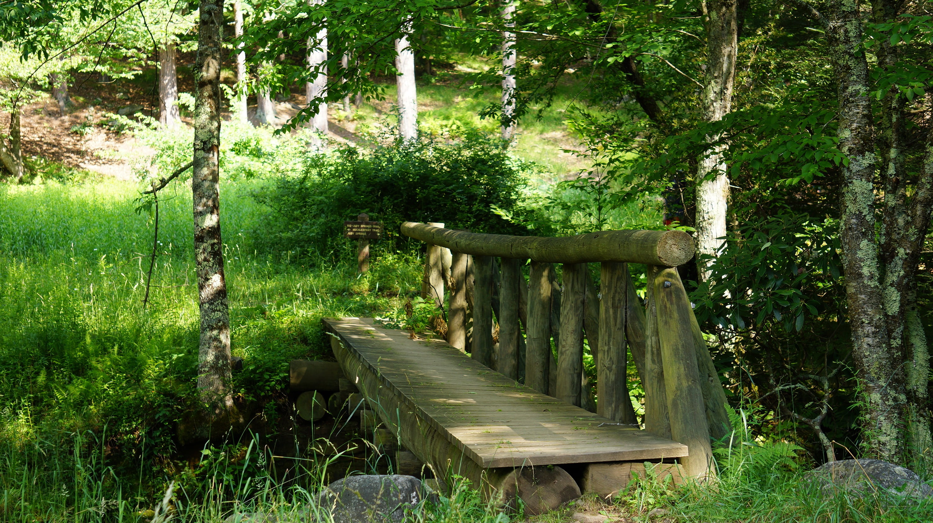 landscape, footbridge, built structure, wilderness, 2K, creek, scenic, grass, day, bench, dolly, tree, tranquility, summer, plant, virginia, woods, wood - Material, HD Wallpaper