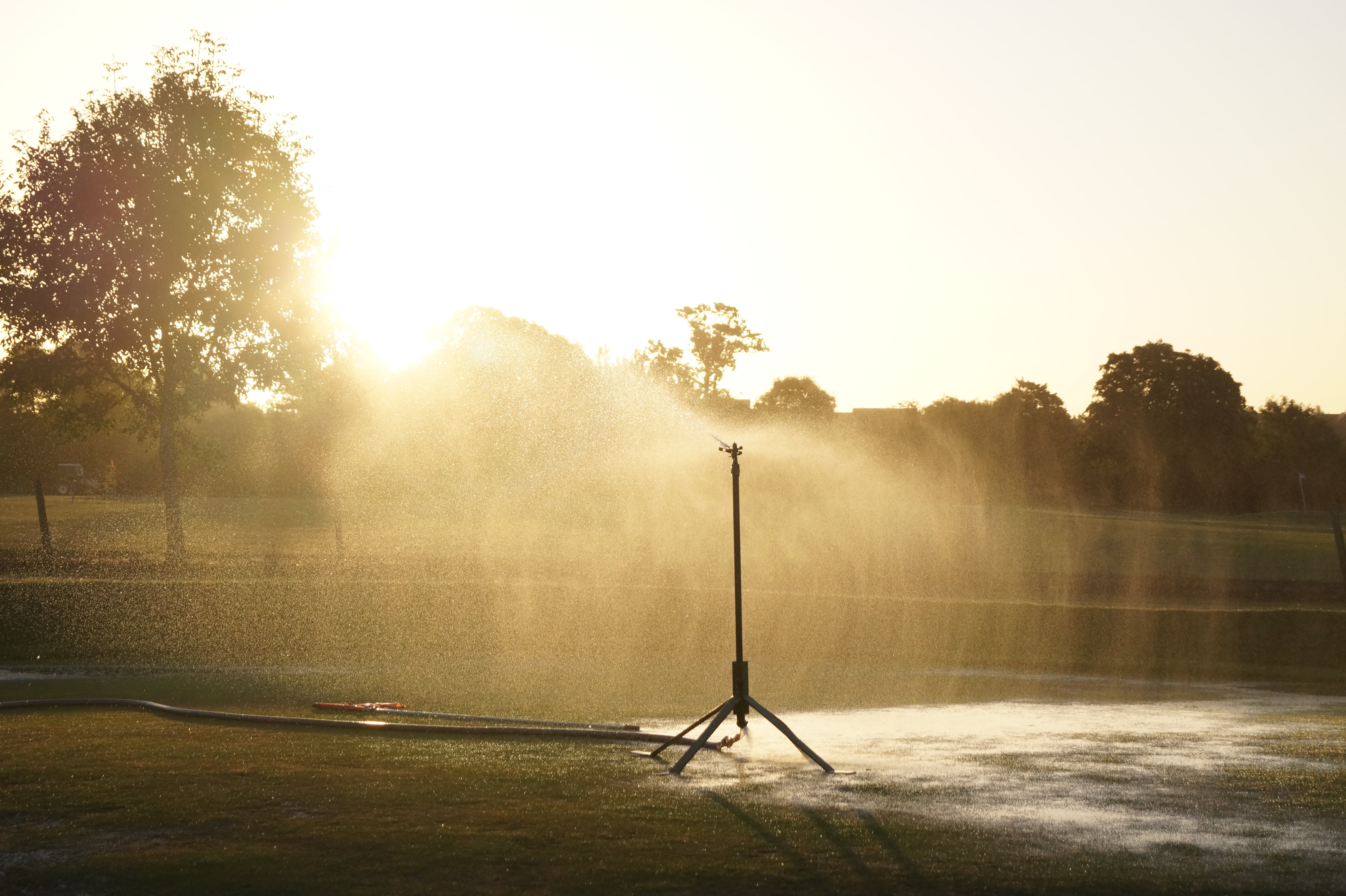 field, black, outdoors, sky, landscape, silhouette, daytime, trees, sod, plant, sunset, sunlight, tranquility, sprinklers, park - man made space, fog, water, HD Wallpaper