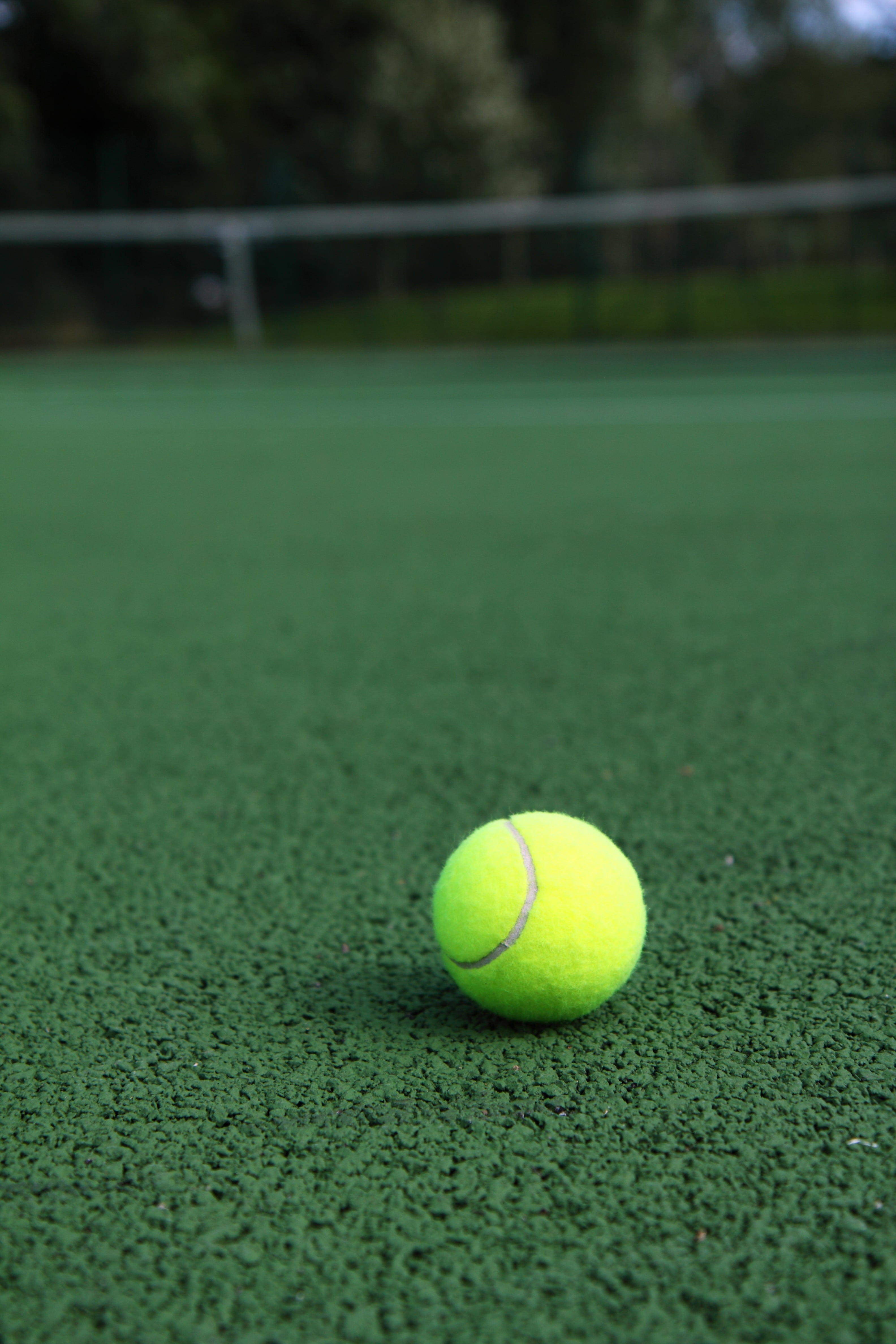 green color, focus, athletics, fitness, daytime, sod, sports equipment, tennis Ball, ball, focus on foreground, yellow, 4K, game, outdoors, competition, Phone HD Wallpaper