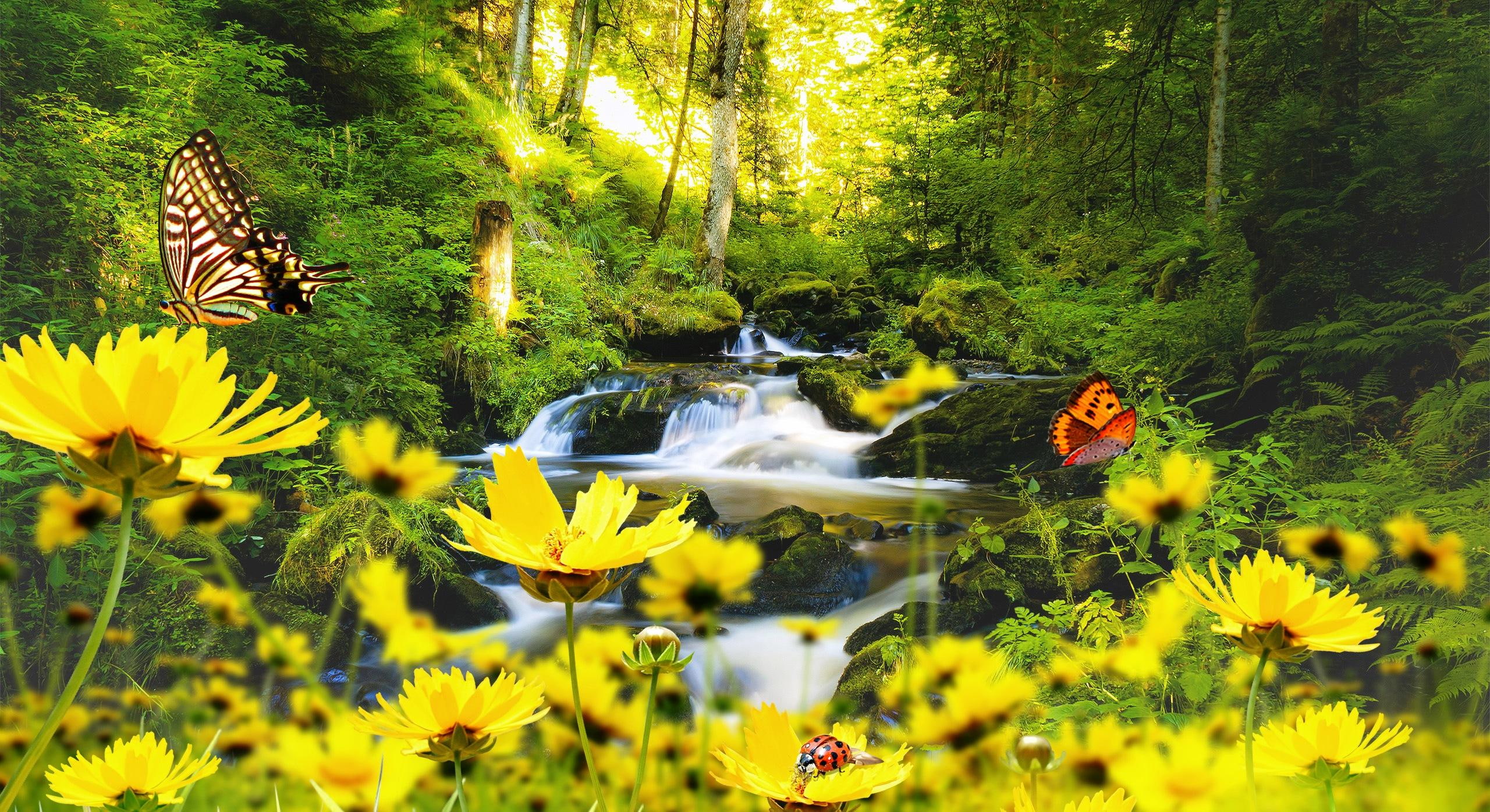 nature and landscapes, cool, 2K, yellow, nice, spring, HD Wallpaper