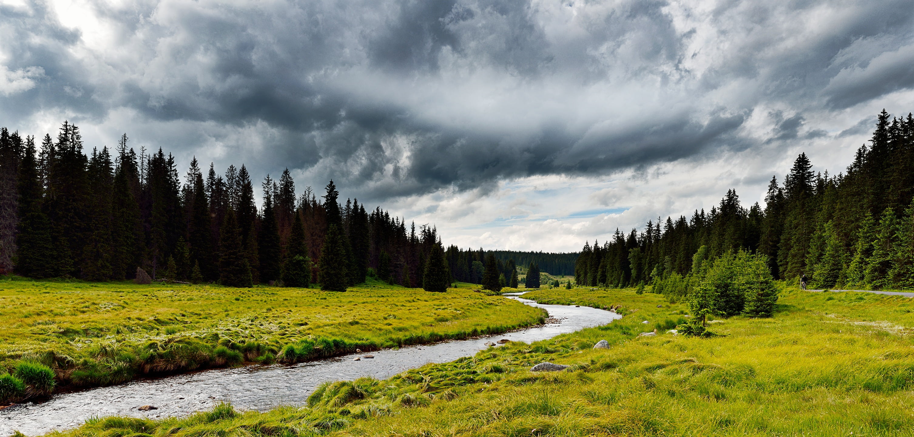 the way forward, plant, no people, water, river, coniferous tree, tranquility, land, mountain, bay, pine tree, woodland, scenics, 2K, landscape, grass, HD Wallpaper