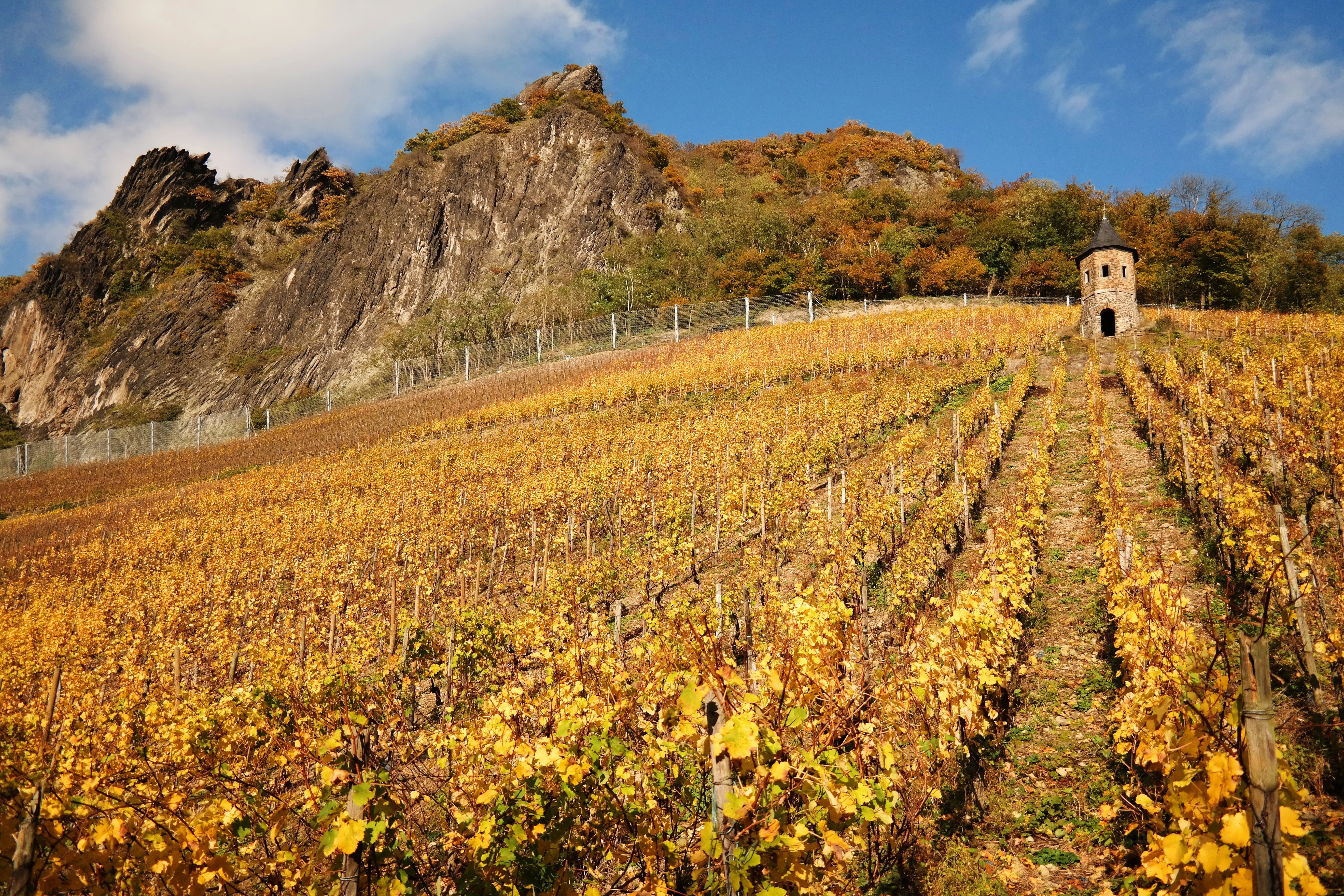 mountains, field, wine, rhöndorf, daytime, agriculture, 5K, tower, königswinter germany, vine, sky, plant, architecture, yellow, emerge, orange, cloud - sky, HD Wallpaper