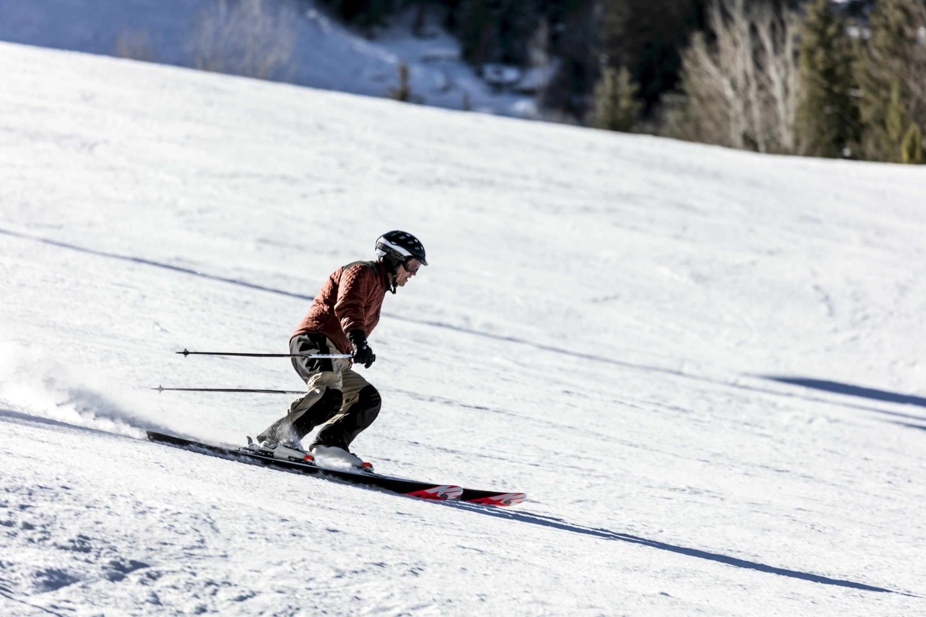 one animal, snow, winter, day, covering, ski-wear, land, wintry, winter sport, motion, full length, downhill, sport, skiing, cold temperature, 2K, beauty in nature, HD Wallpaper