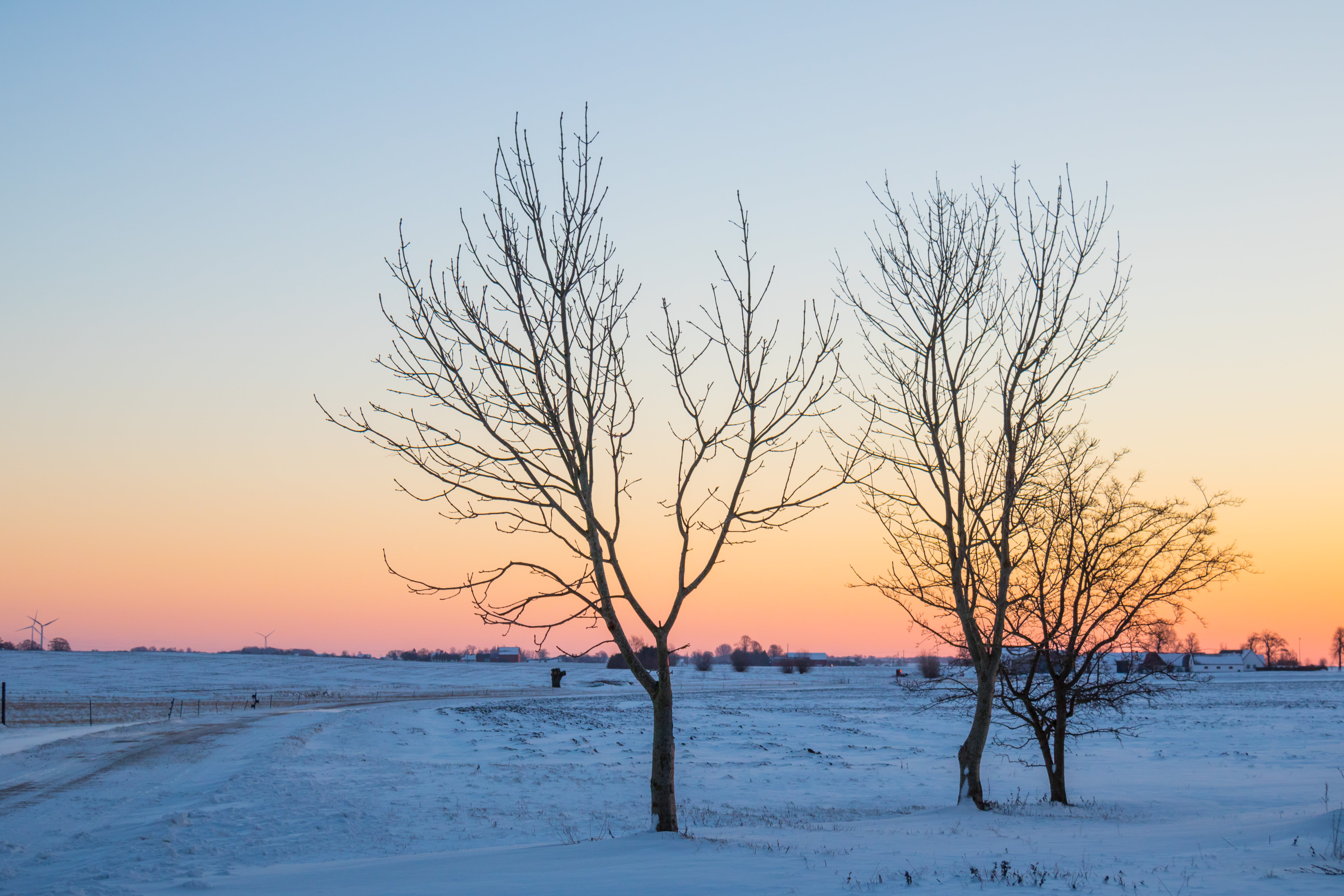 camera, geo:location, 5K, canon, iso_speed, season, lens, sunset, black, countryside, canon eos, Söderslätt, ice, nature, frozen, outdoors, country, tree, HD Wallpaper